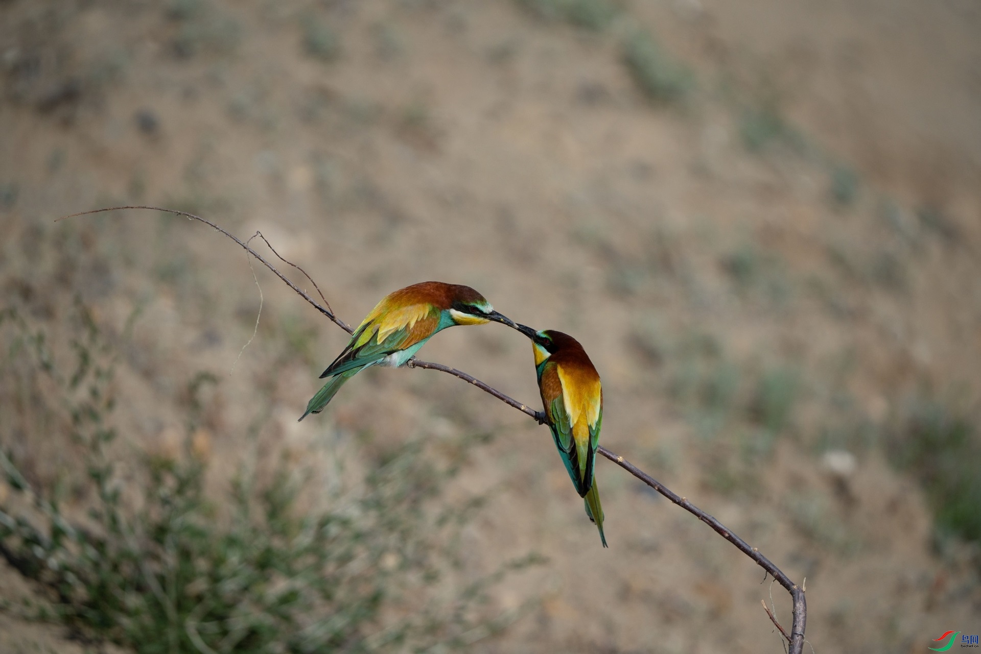 �� ����.jpg