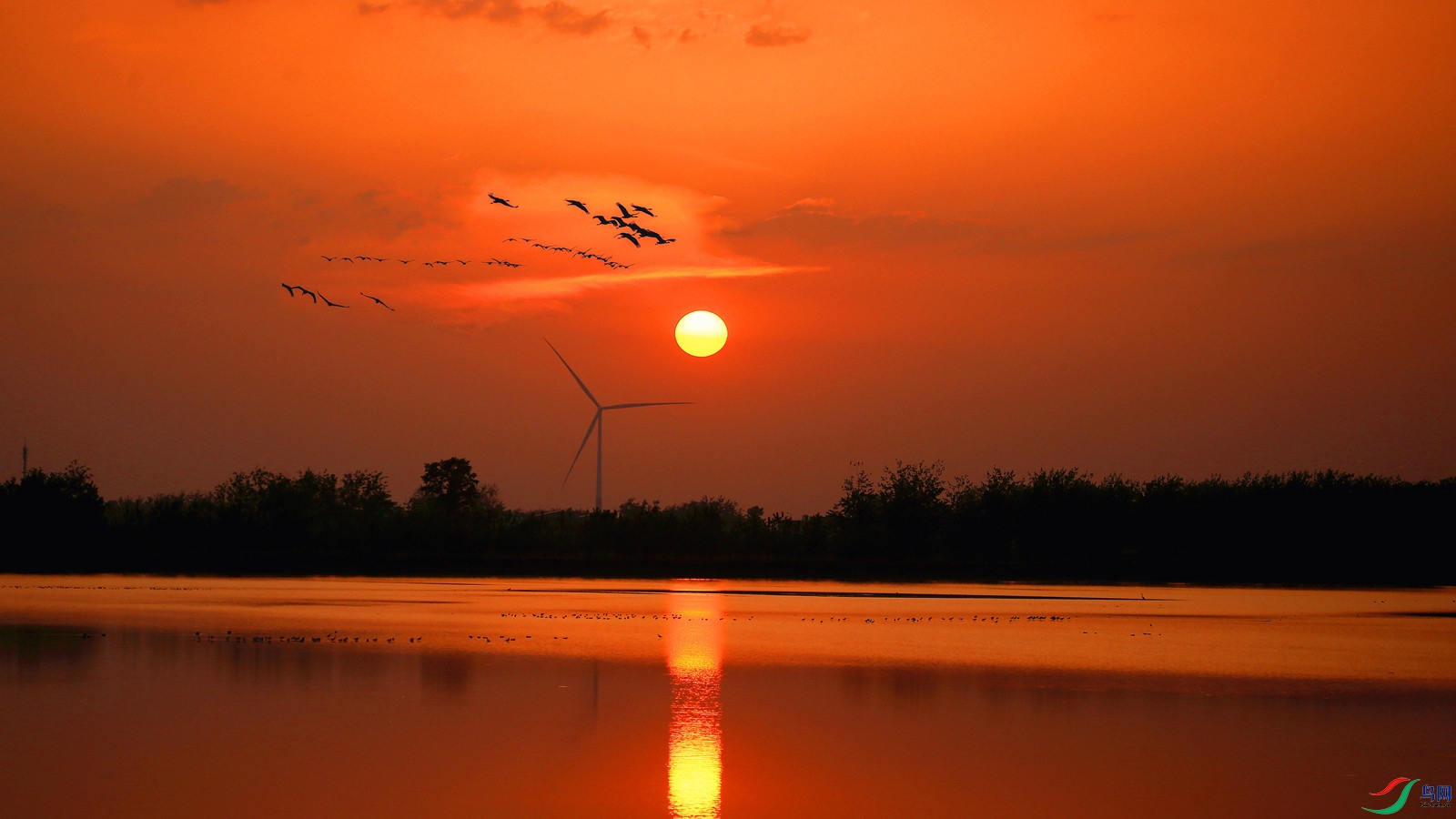 a6ae4897e49d24a502804000adb0f721_064729ukwit71b7wyyf308 (2).jpg