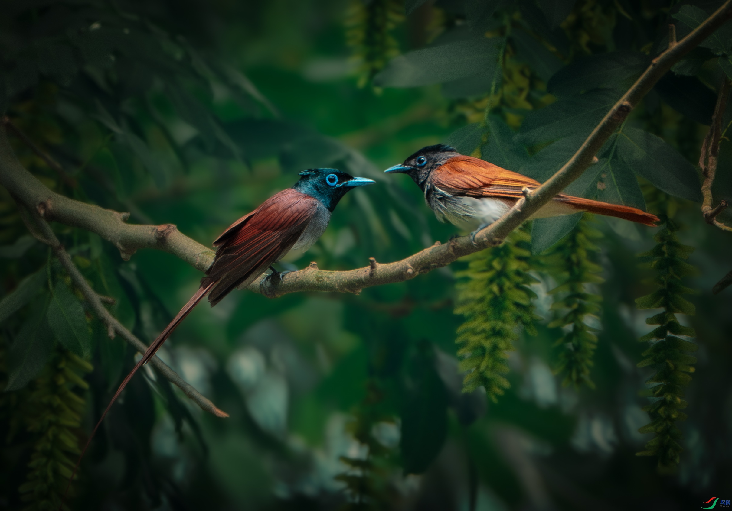 _DSC8488-����ǿ-NR_055435_edit_245308095492407 (1).jpg