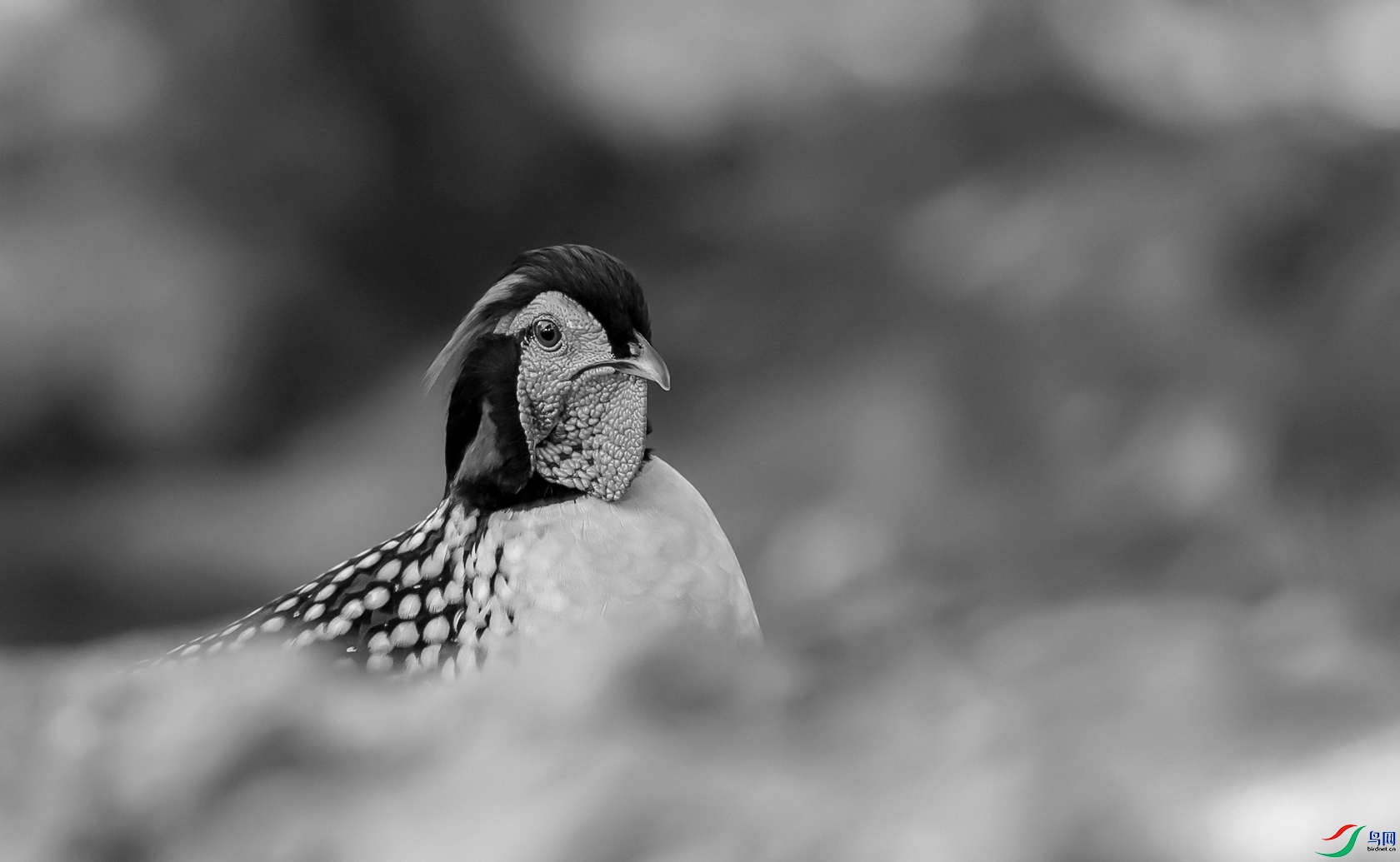 DSC_�Ƹ�����-1 - ����.jpg