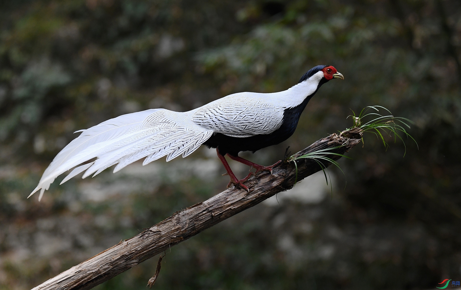 DSC_1362.jpg