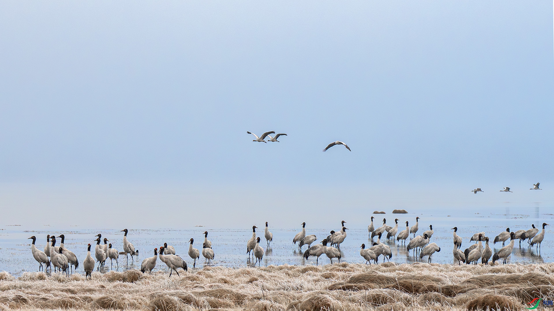 DSC_8552 ����.jpg