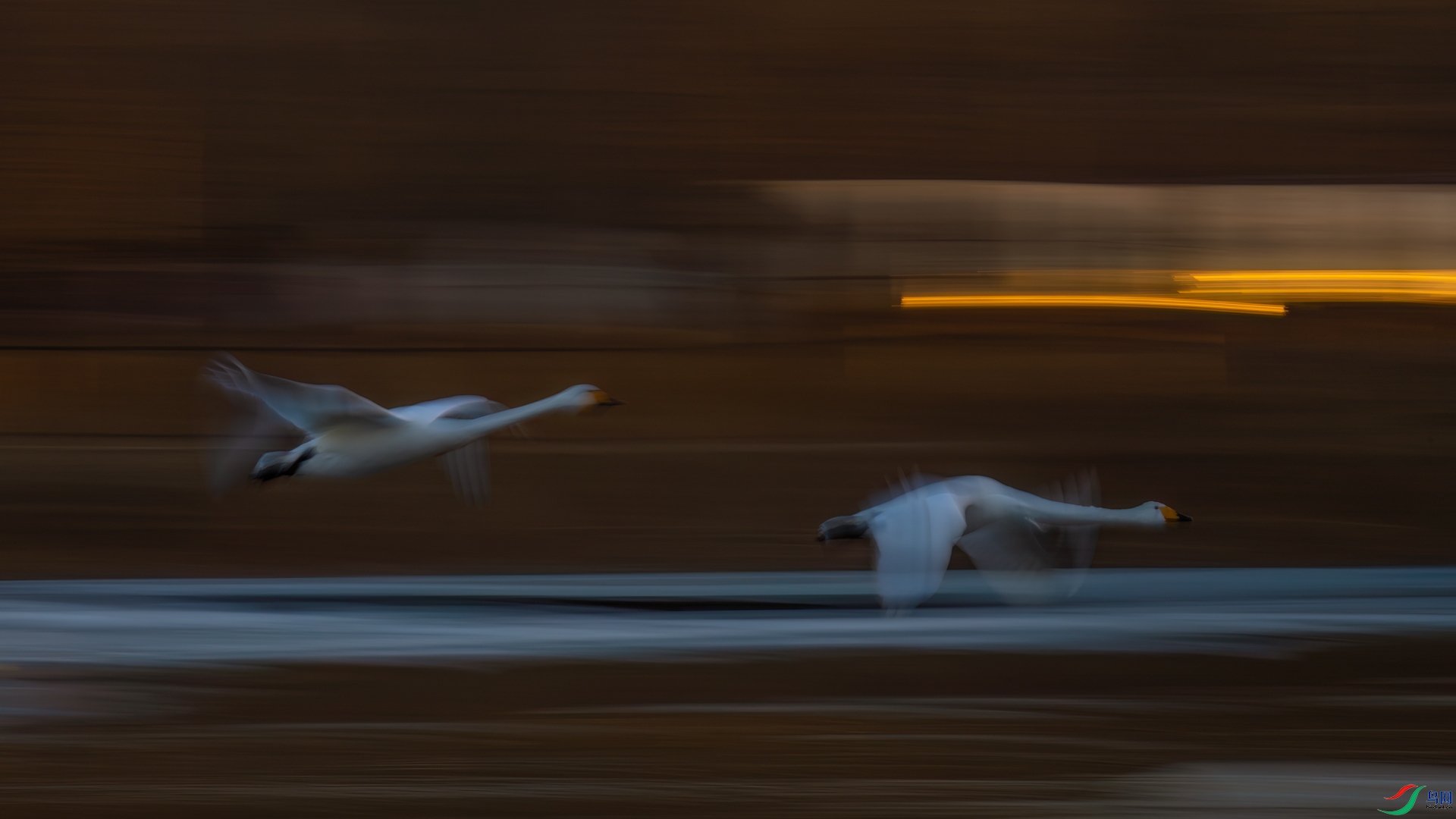 DSC_7167-1XX.jpg