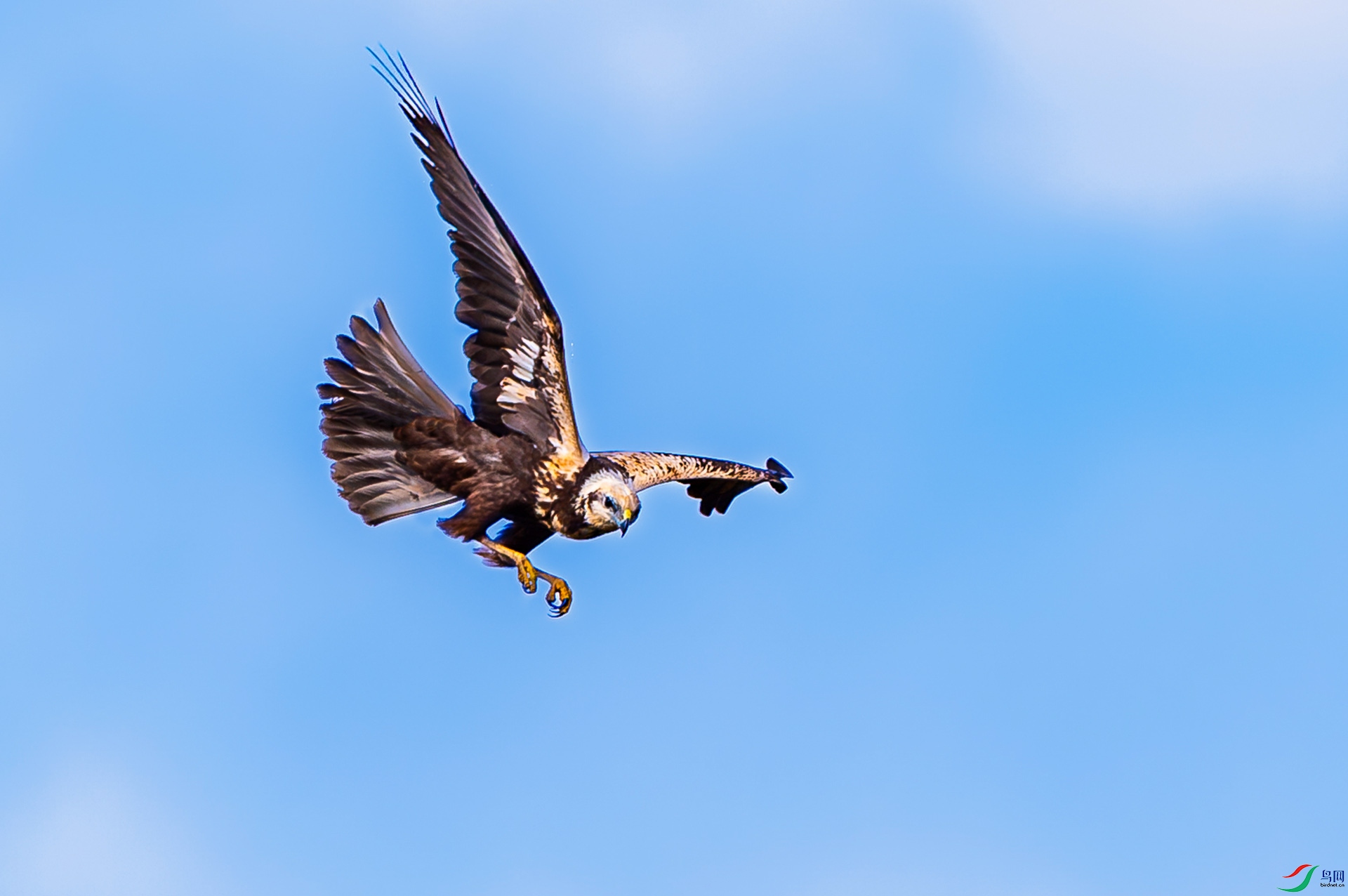 _25_9466 ����.jpg