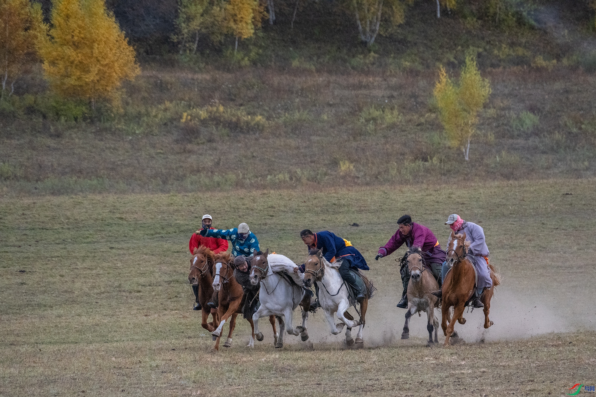 DSC_8827 ����22.jpg