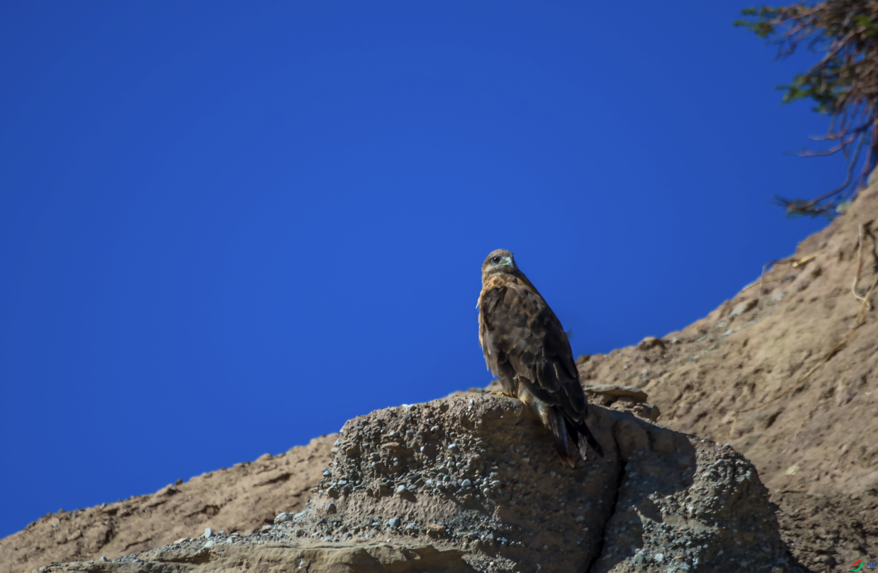 _DSC4291.jpg