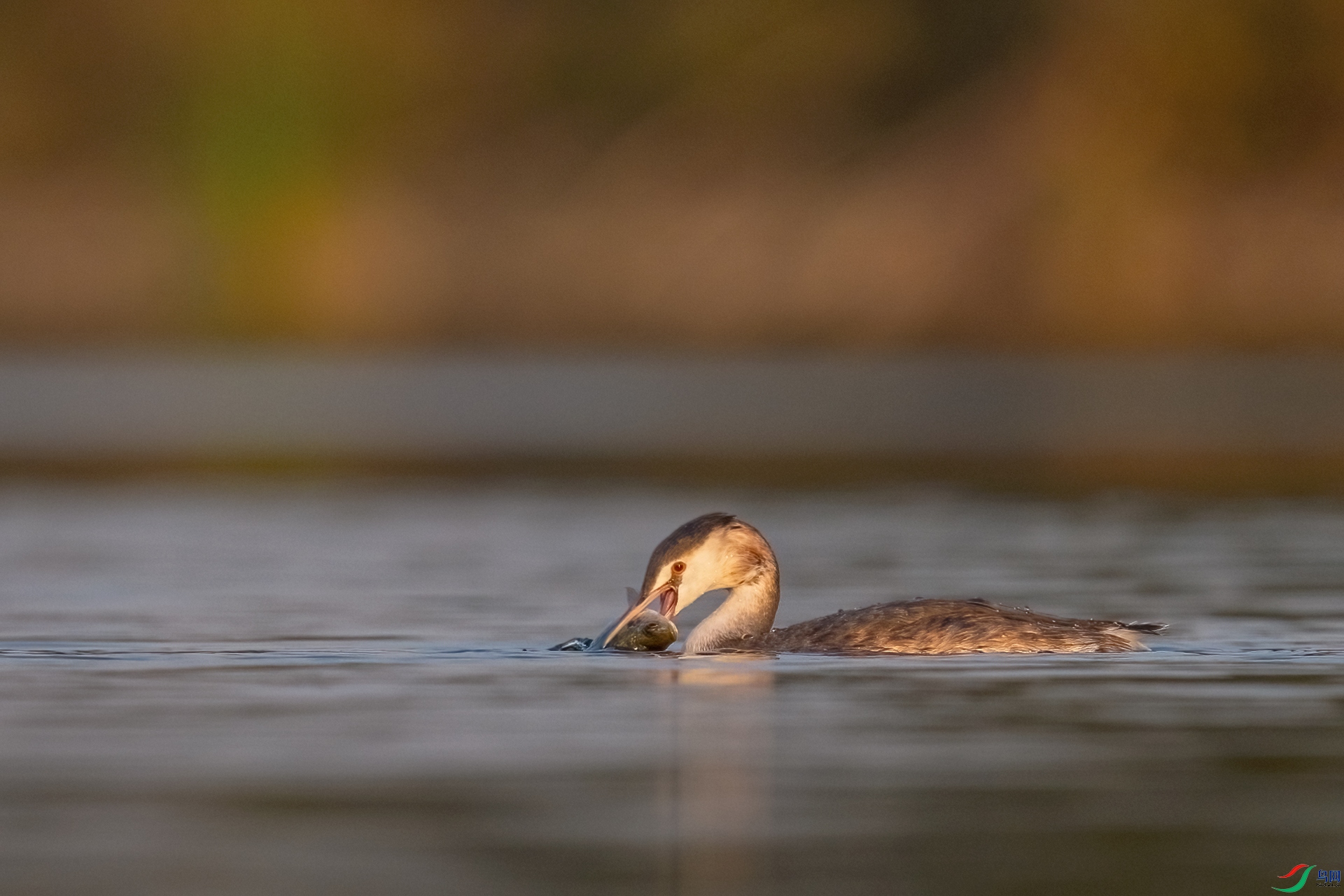 021A9681-�༭ ����.jpg