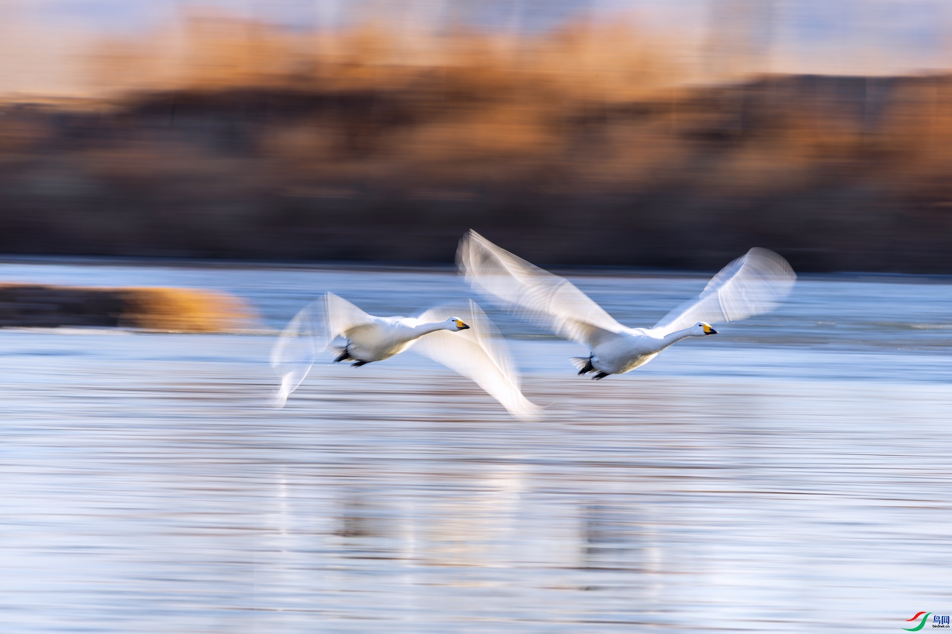 132540rgez5c5aftc598r5-11.jpg