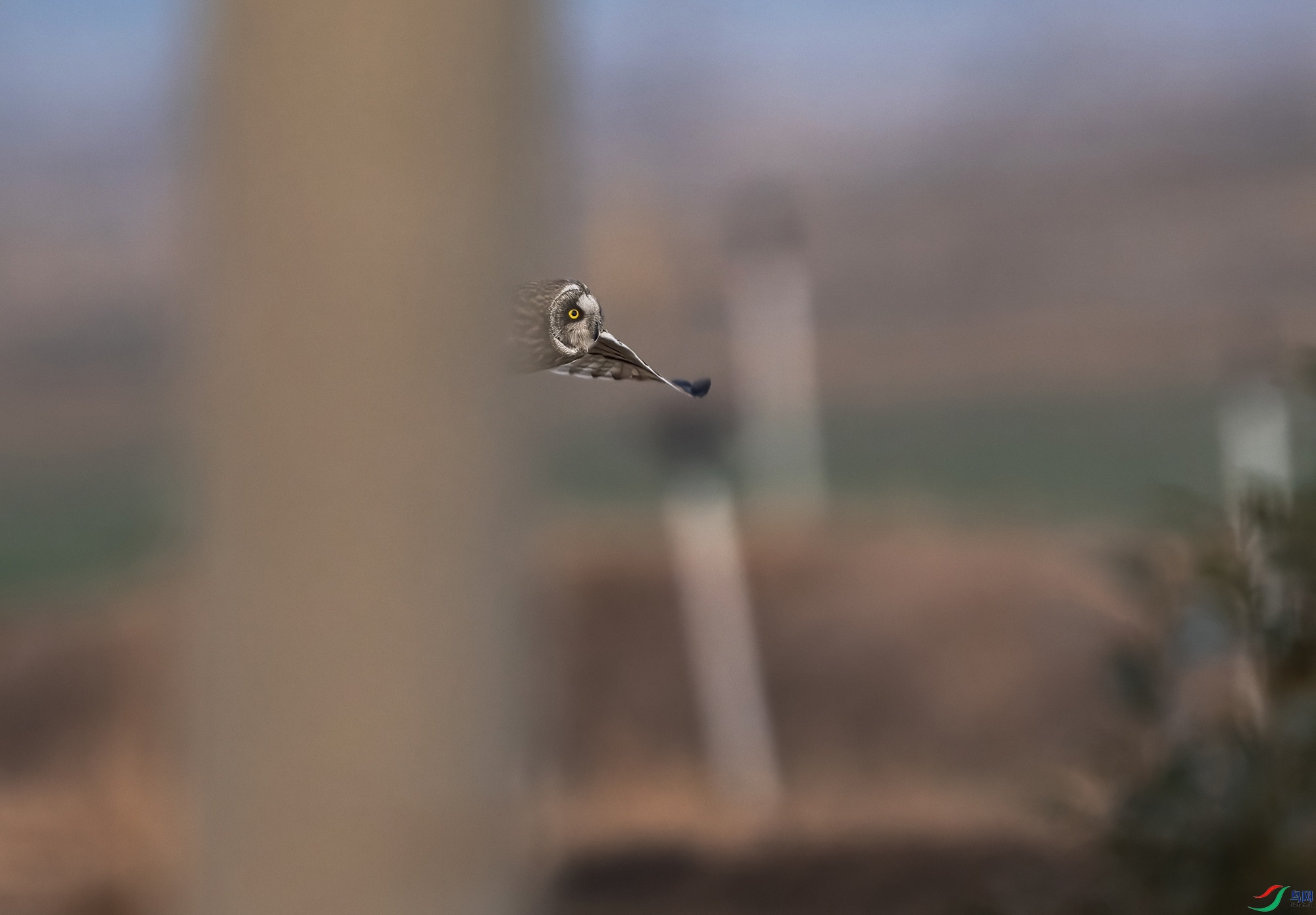 _DSC9632 ����-01.jpeg