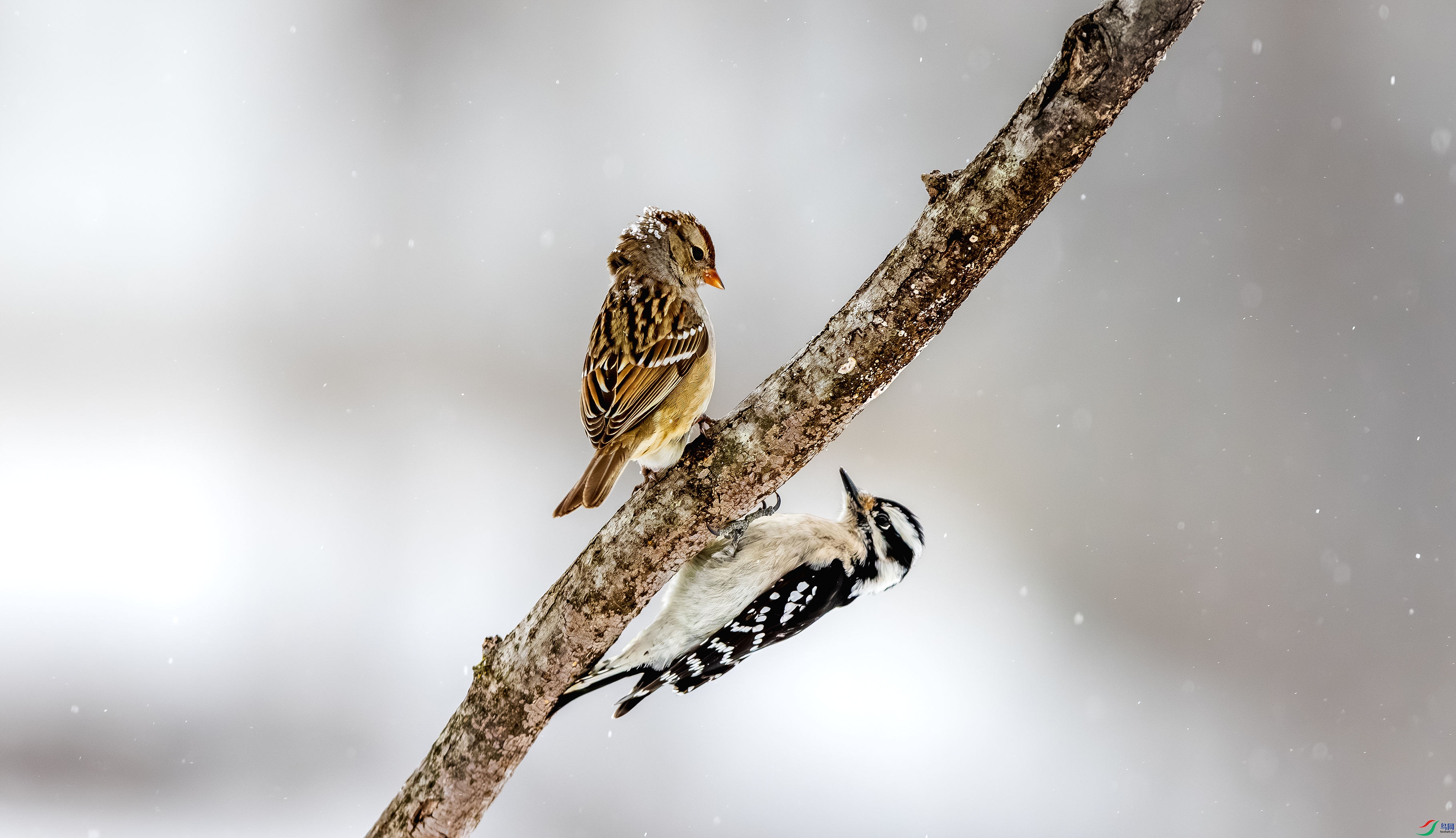 412A7848-1_����=00.jpg