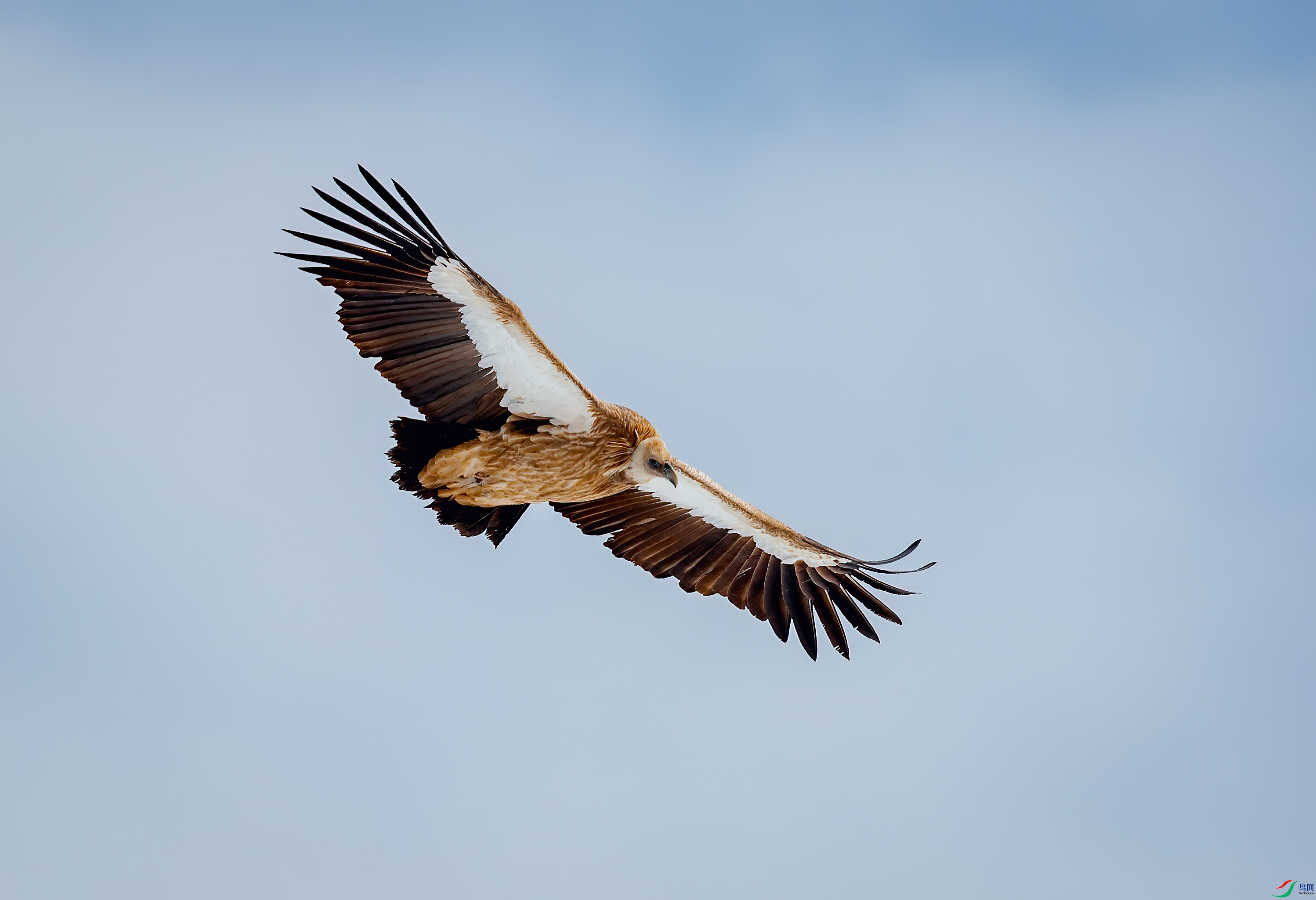 _DSC3861-1.jpg