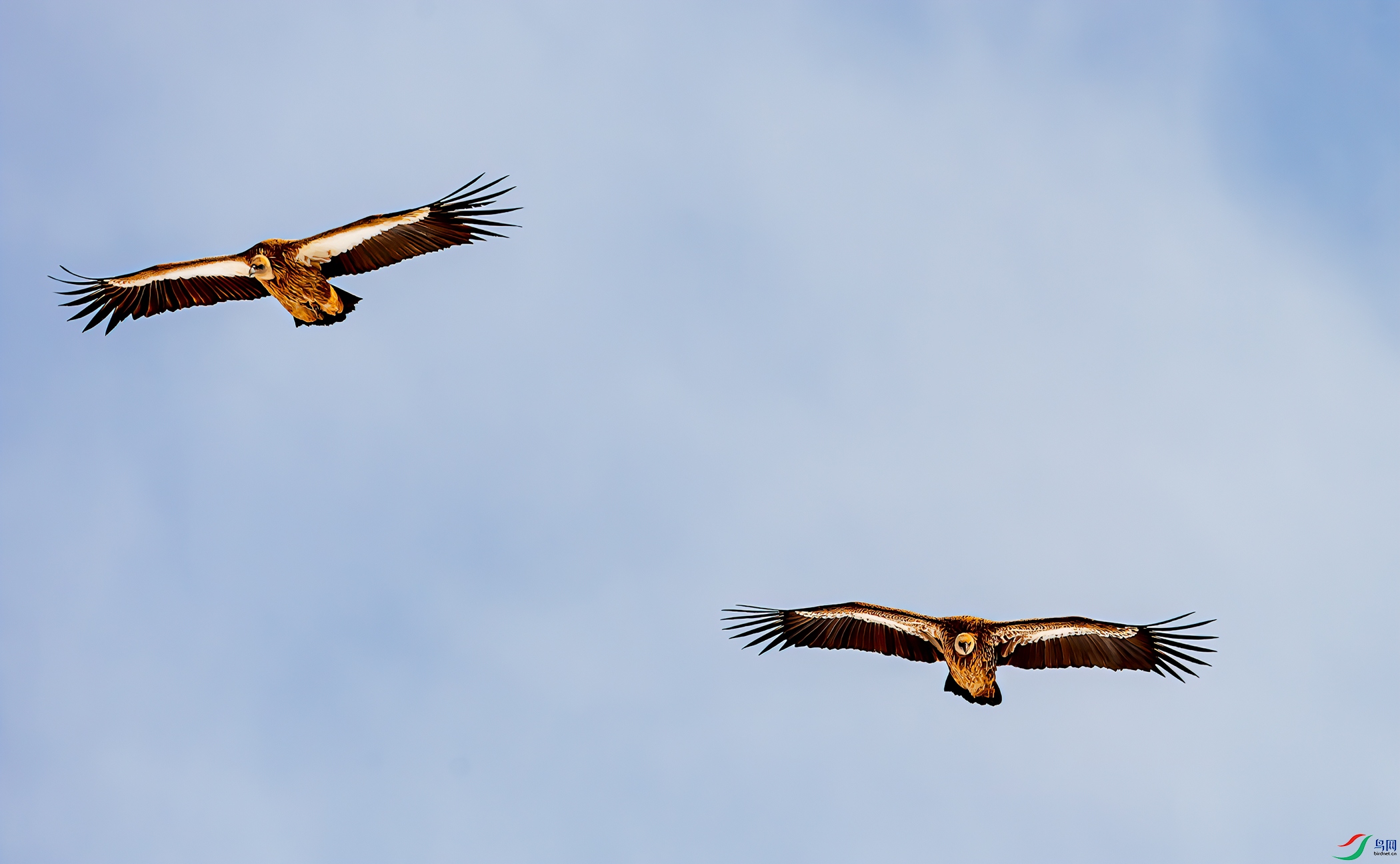 _DSC3910-11.jpg