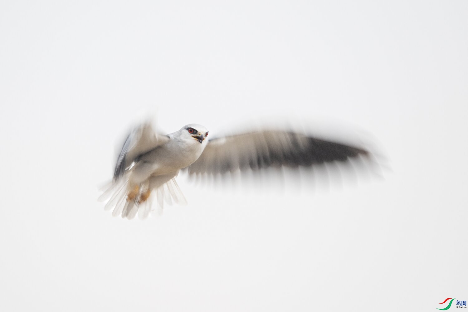 _DSC7096 ����.jpg