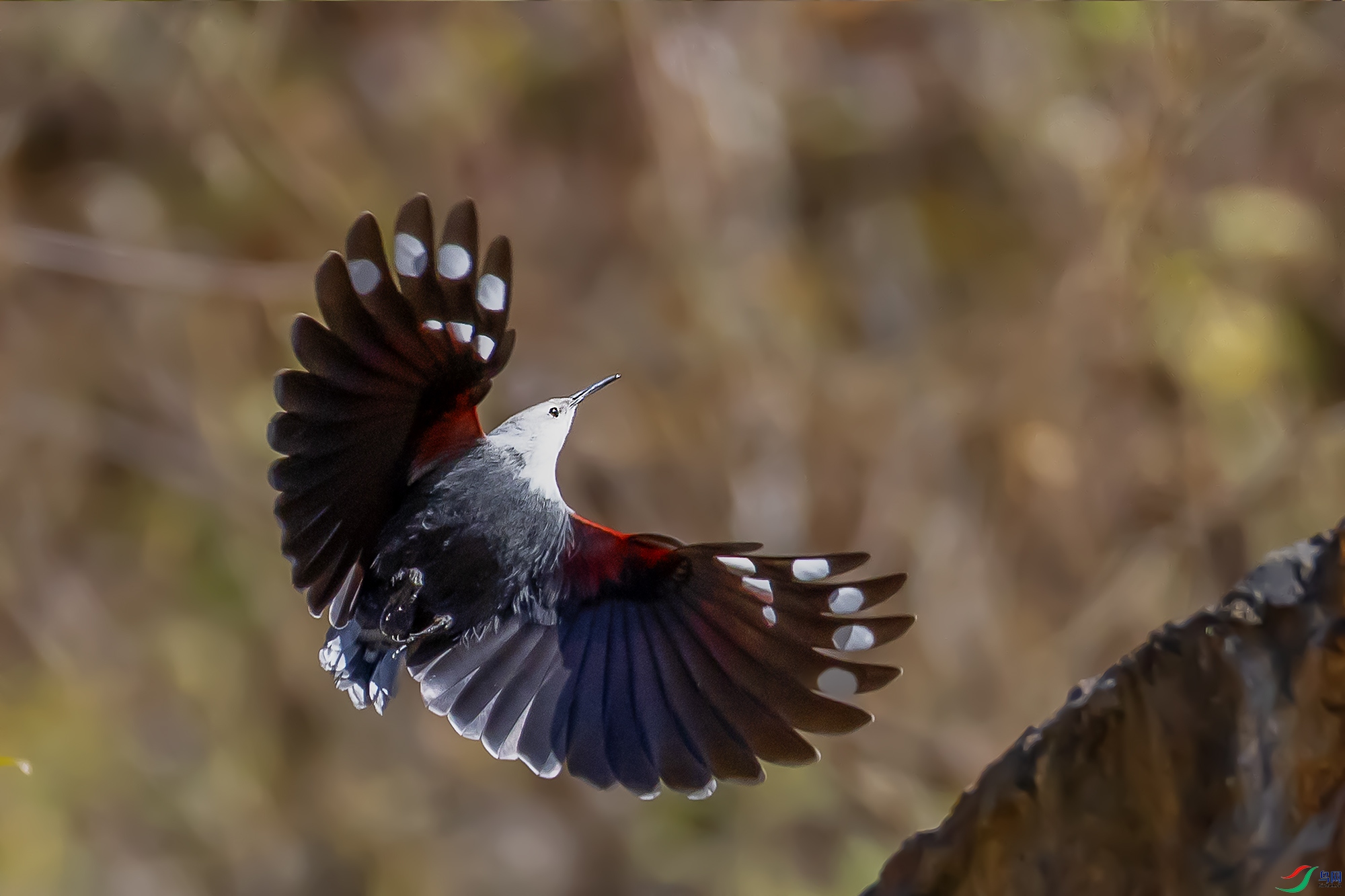 0F7A1822 ����.jpg