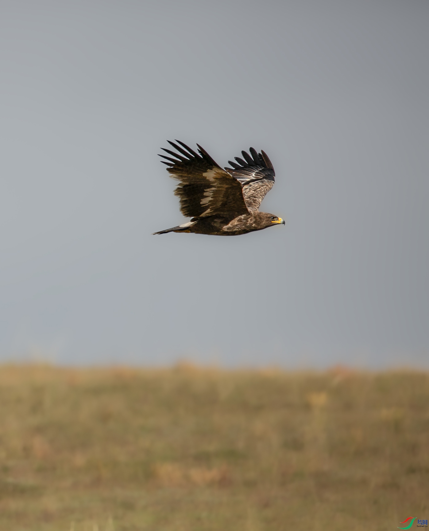 673A2568 ����.jpg