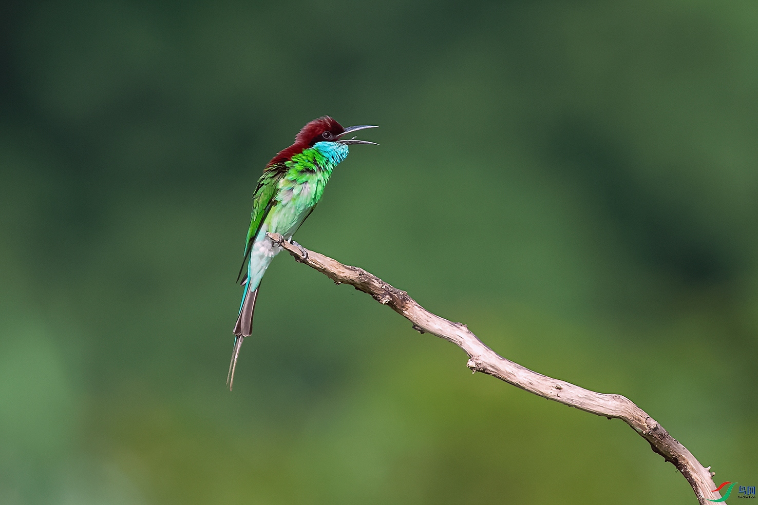DSC_7213_DxOa.jpg