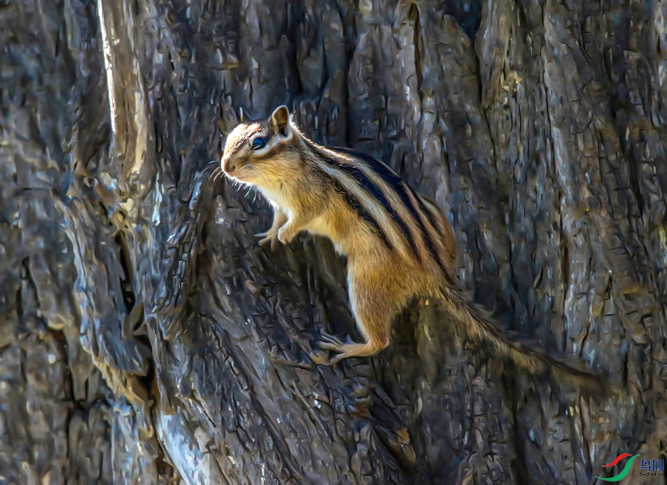 DSC_0029 ����.jpg