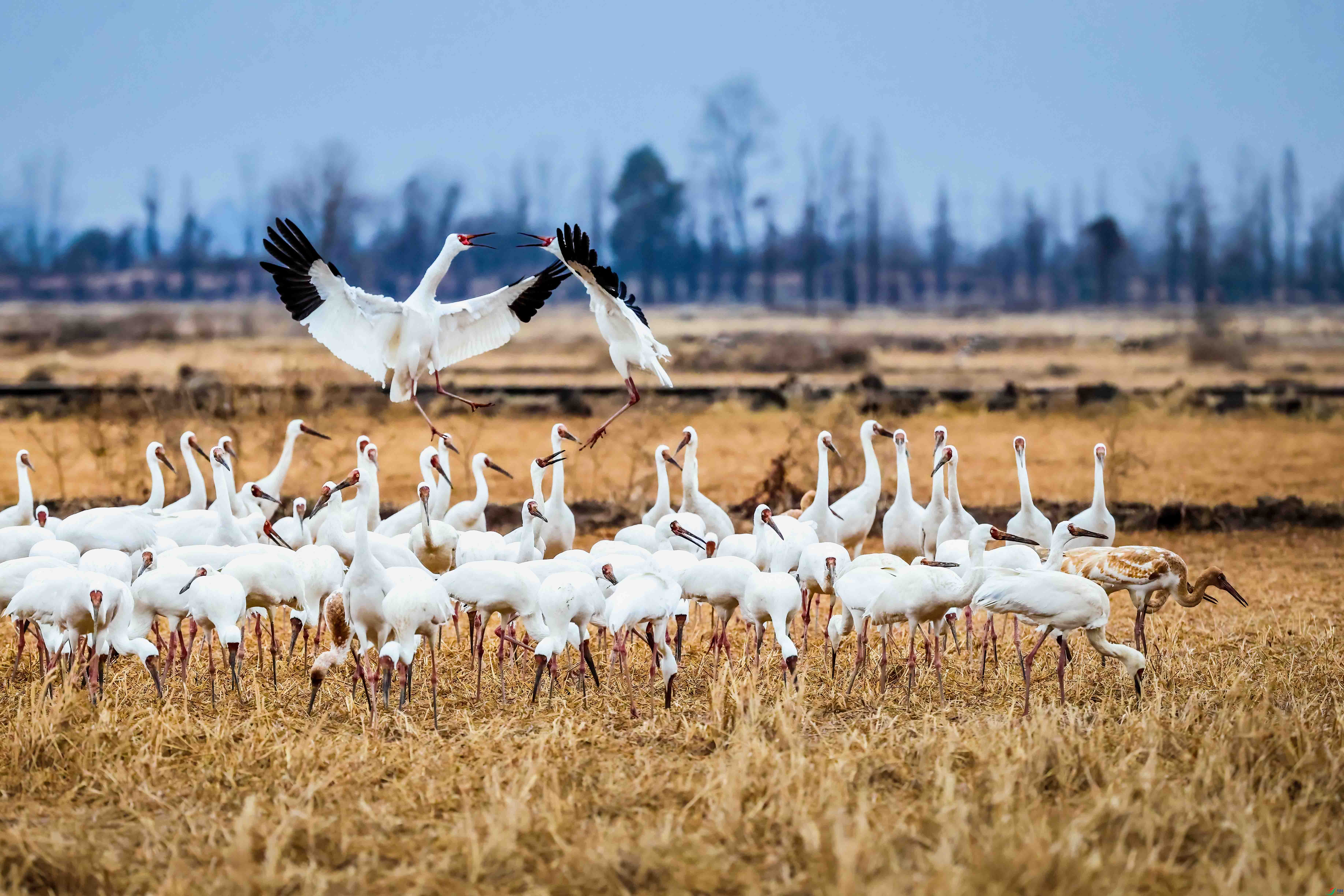 1Z8A7848 ����.jpg