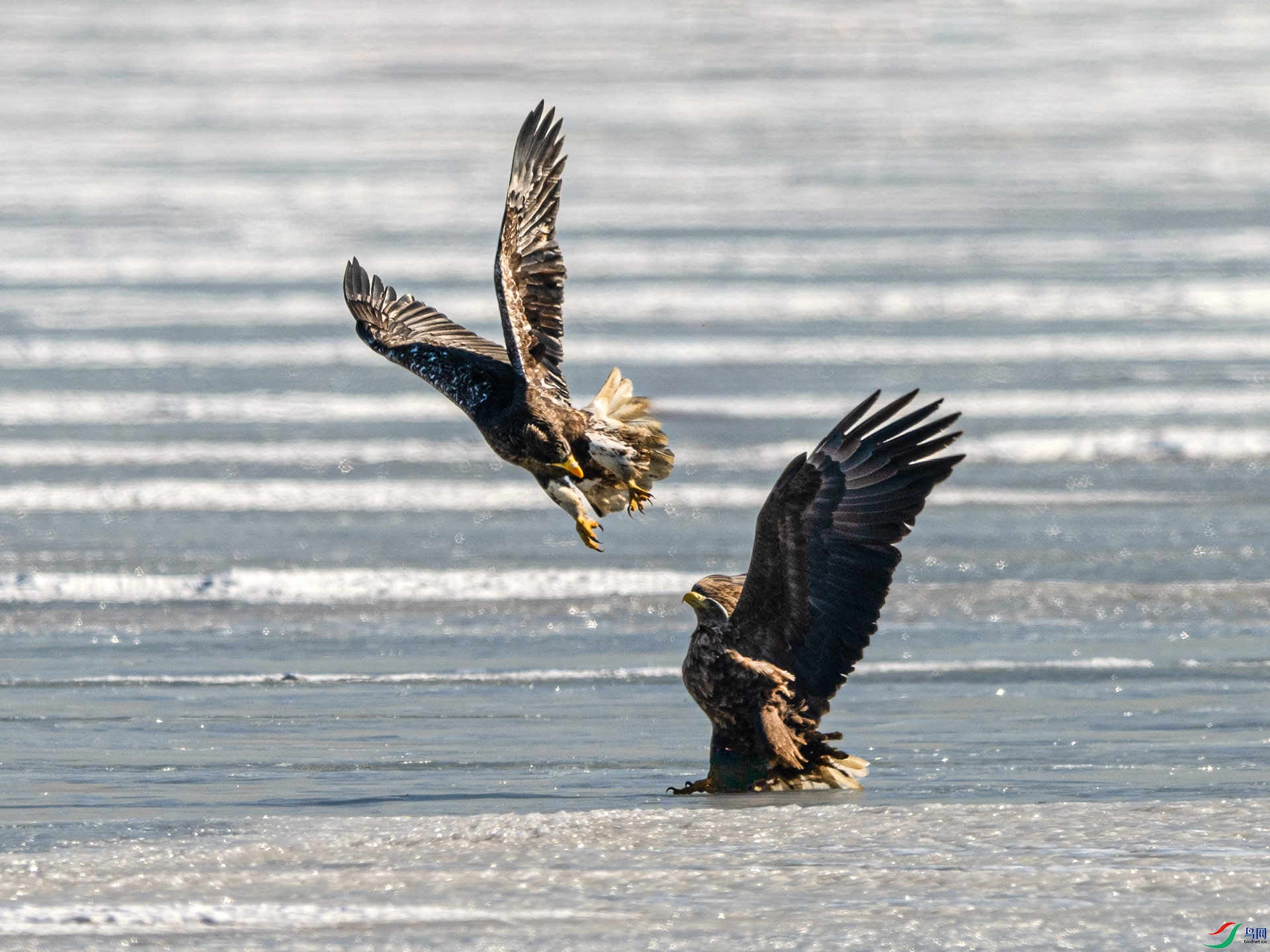 ��β����