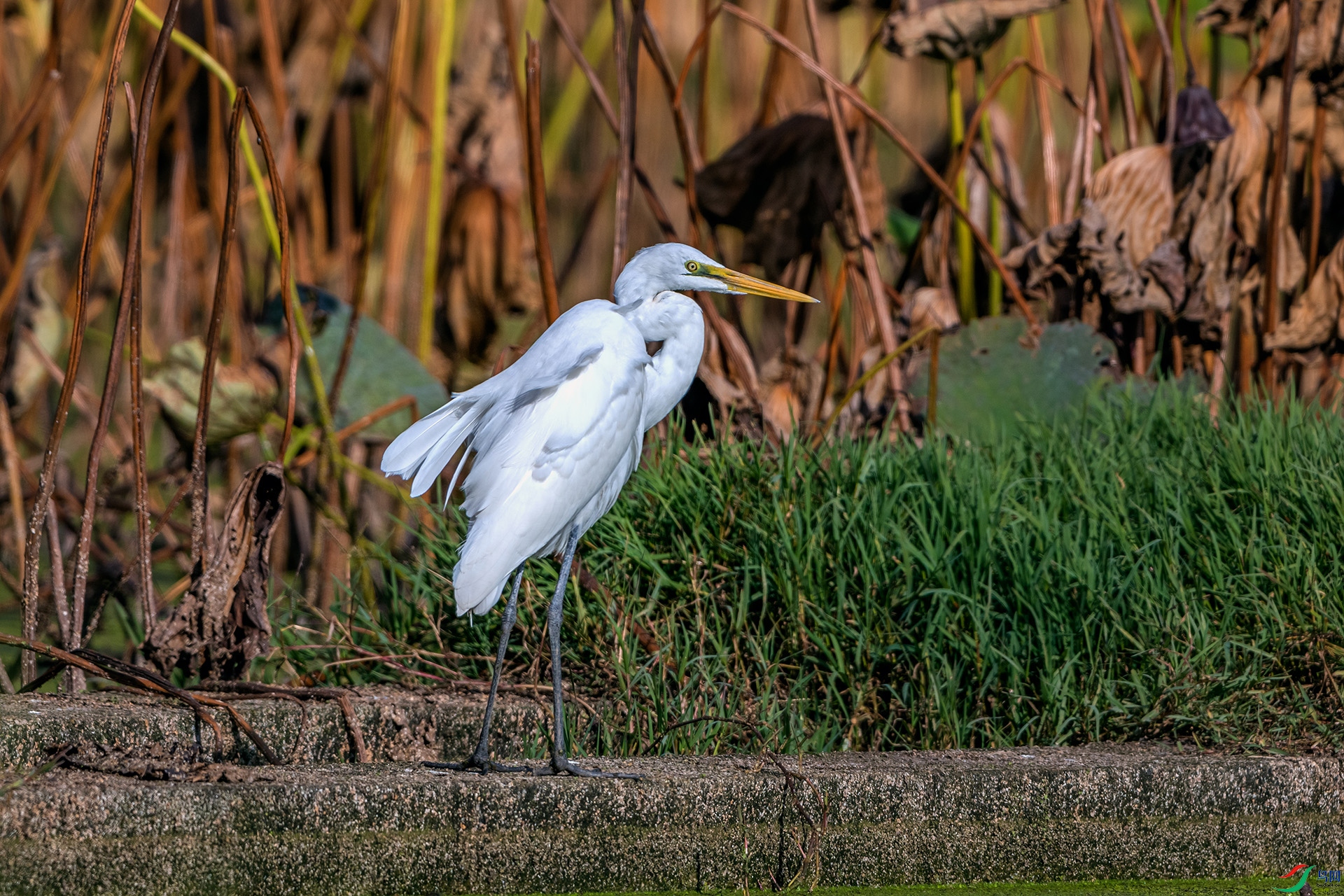 _AUU0755 �а���(25.11.23).jpg