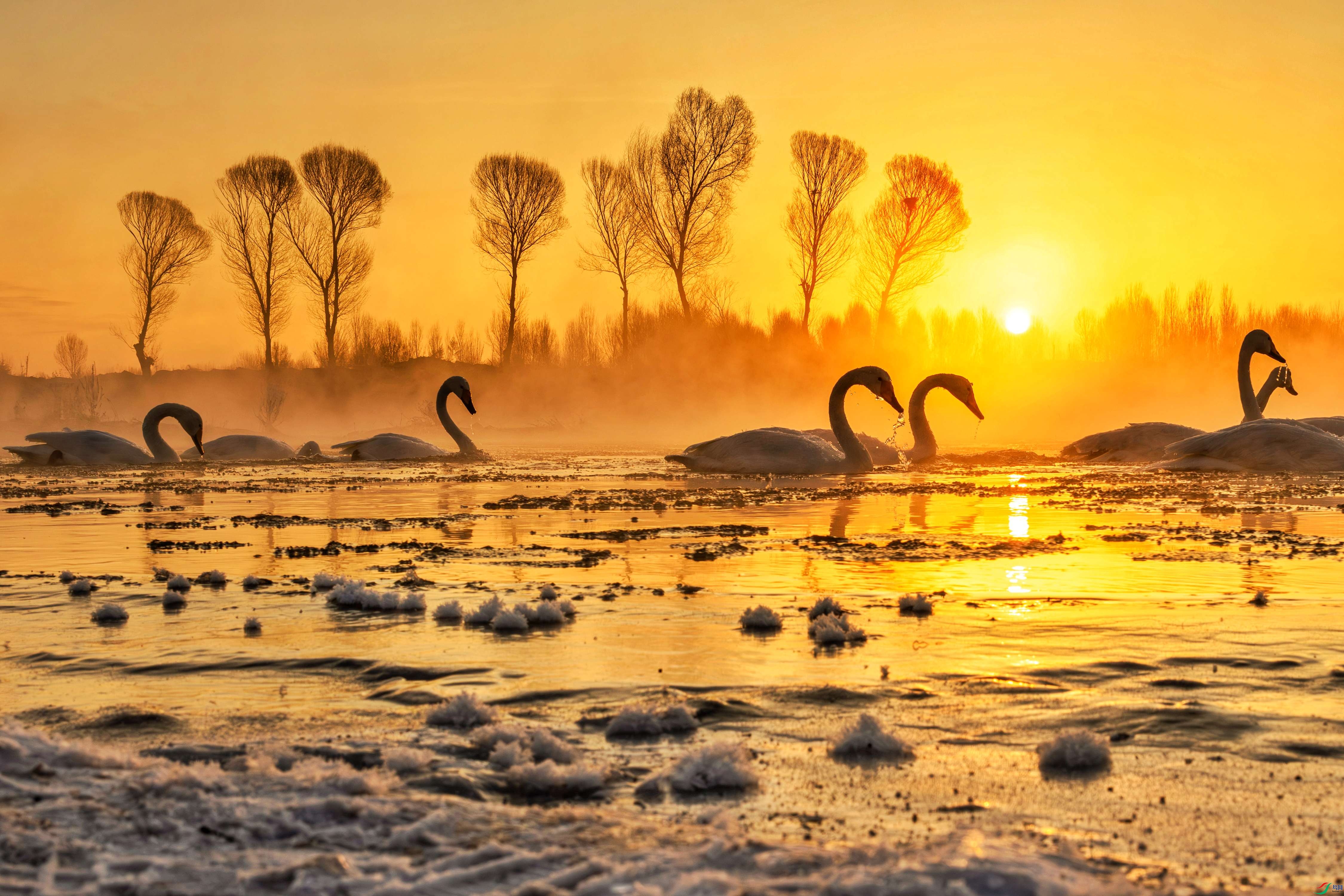 �̽�����