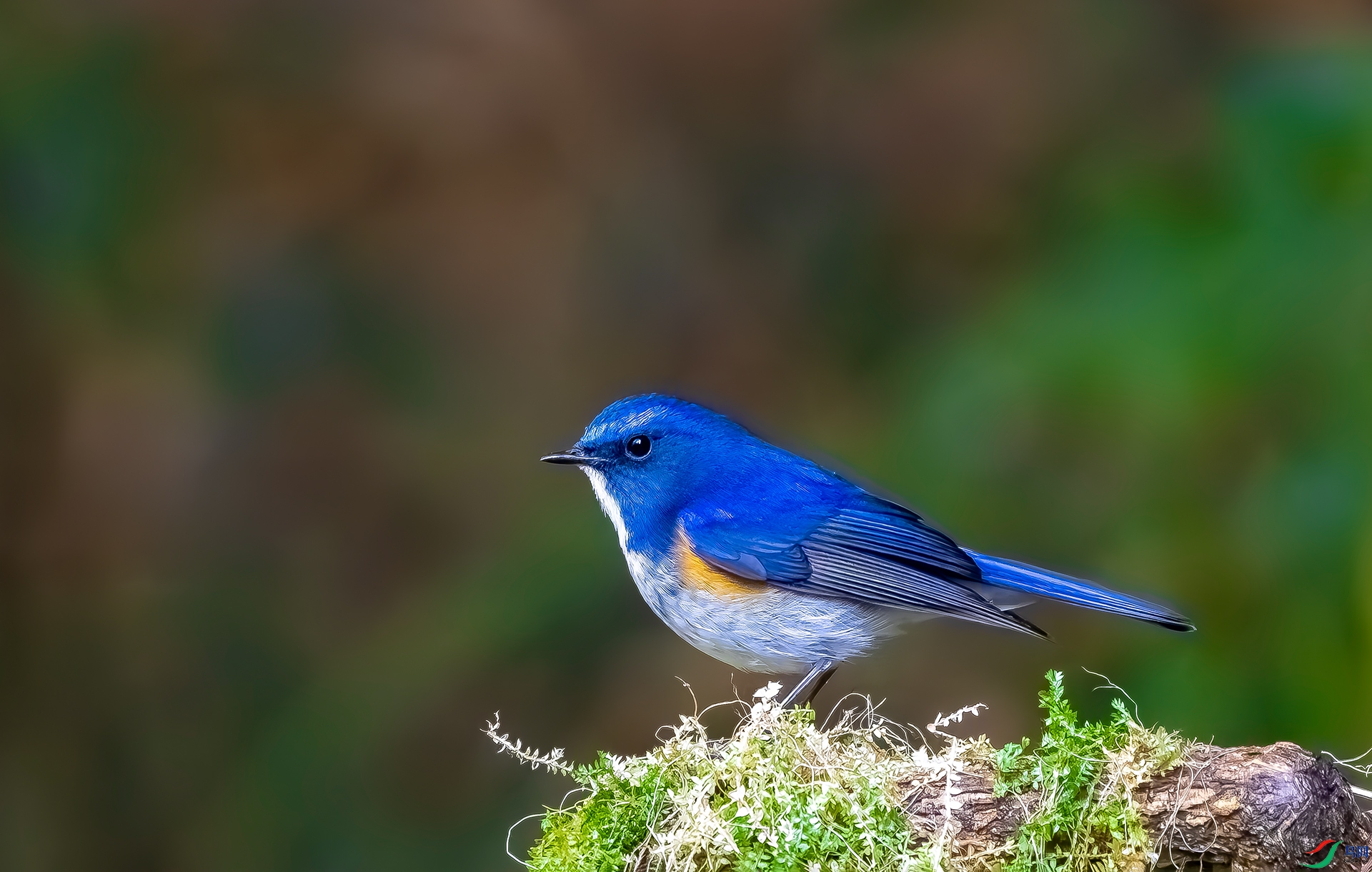 20251229-DSC07946 ����.jpg