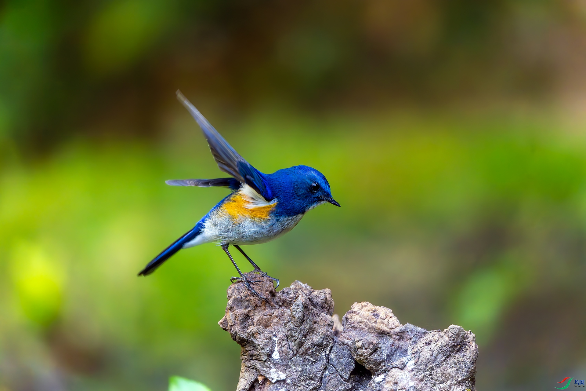 20251229-DSC08027 ����.jpg