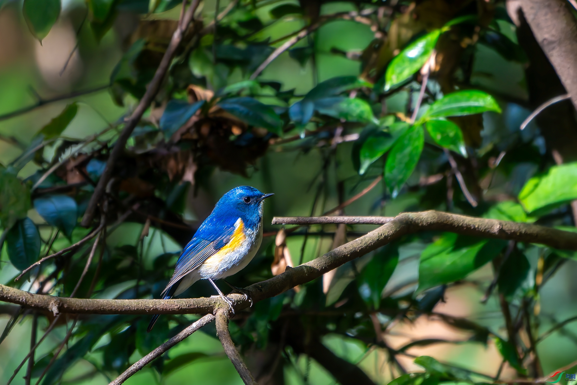 20251229-DSC08670 ����.jpg