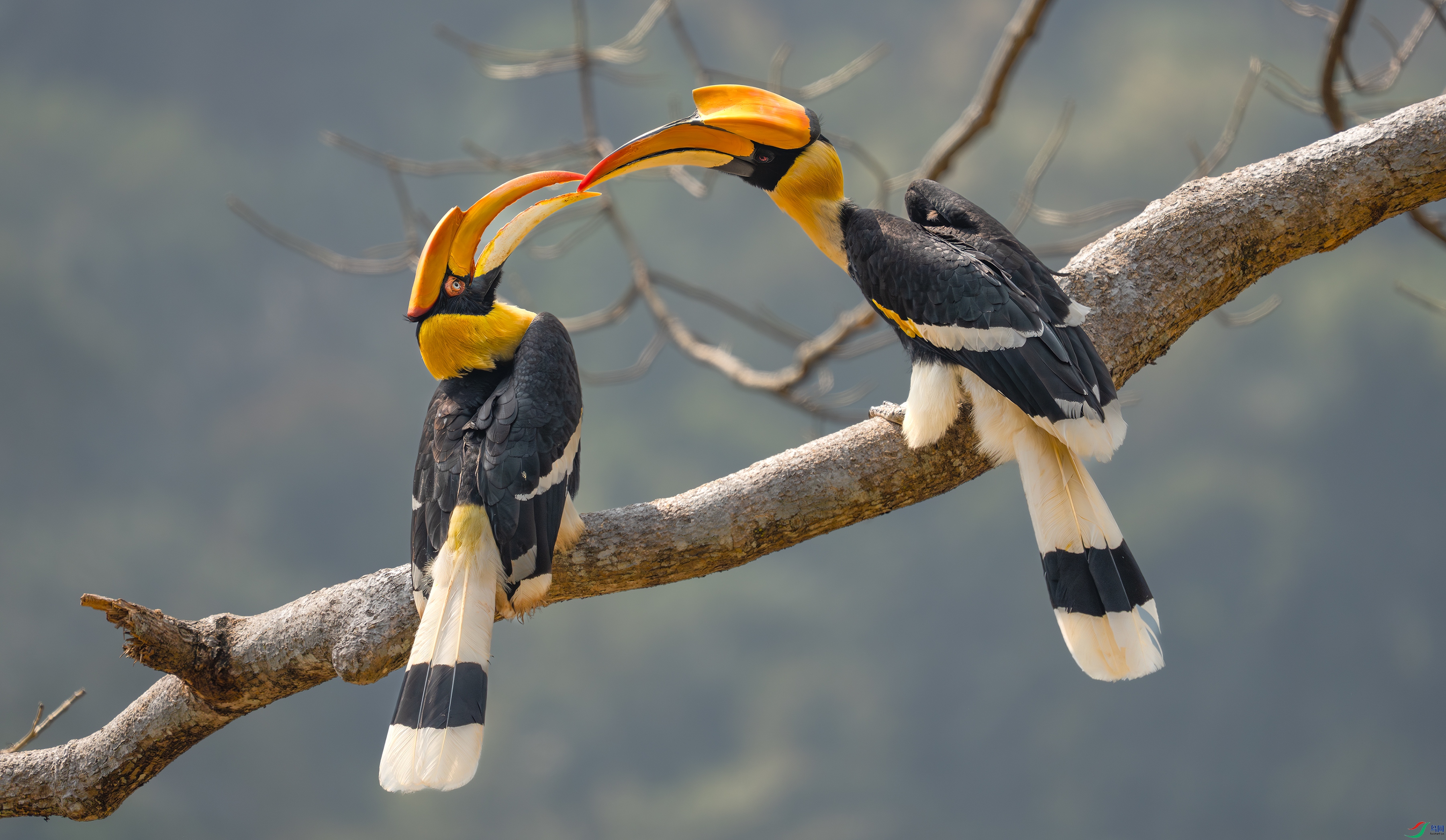 _DSC1929 ����.jpg