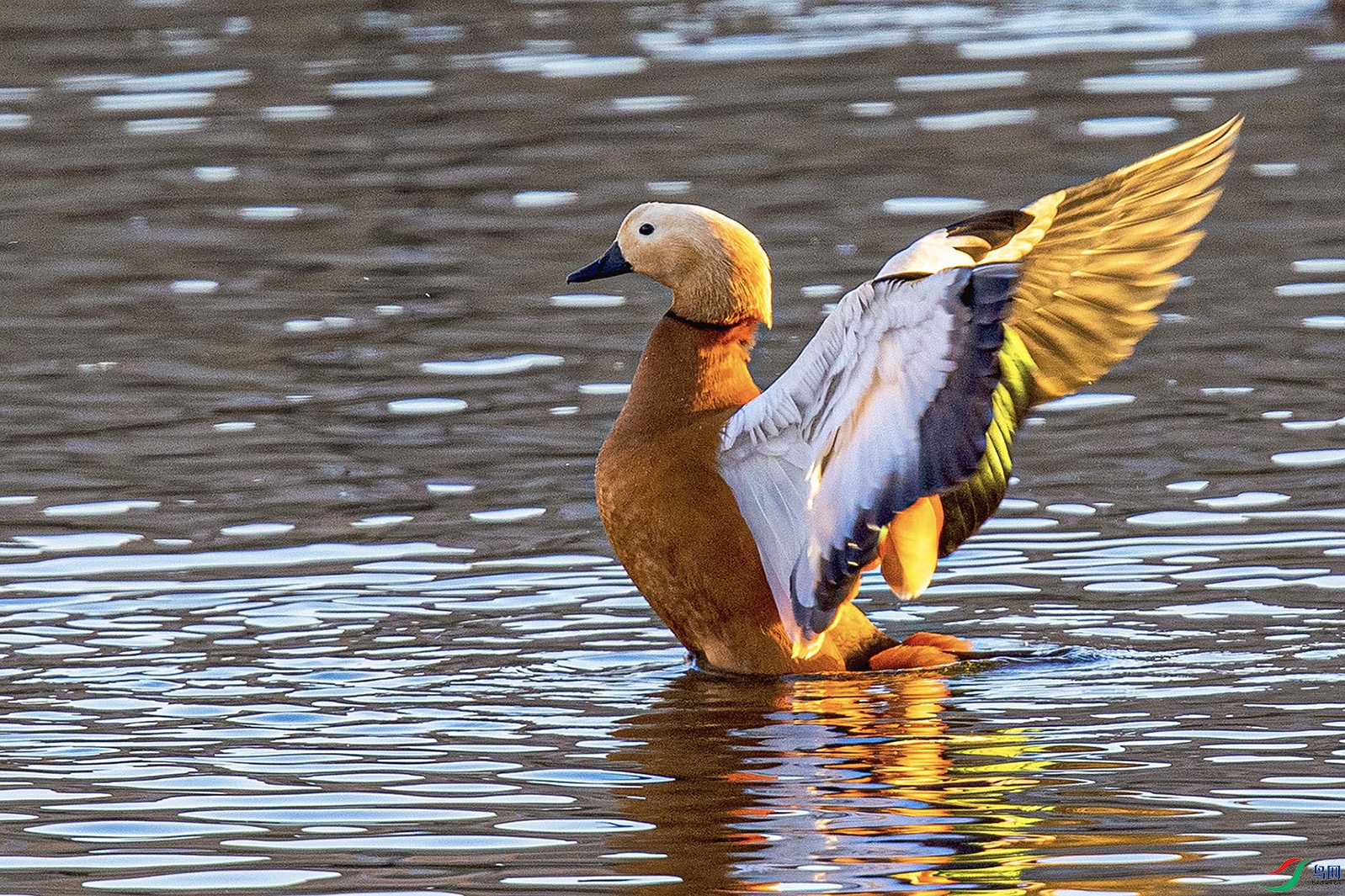 _90I8877 ���� 2.jpg