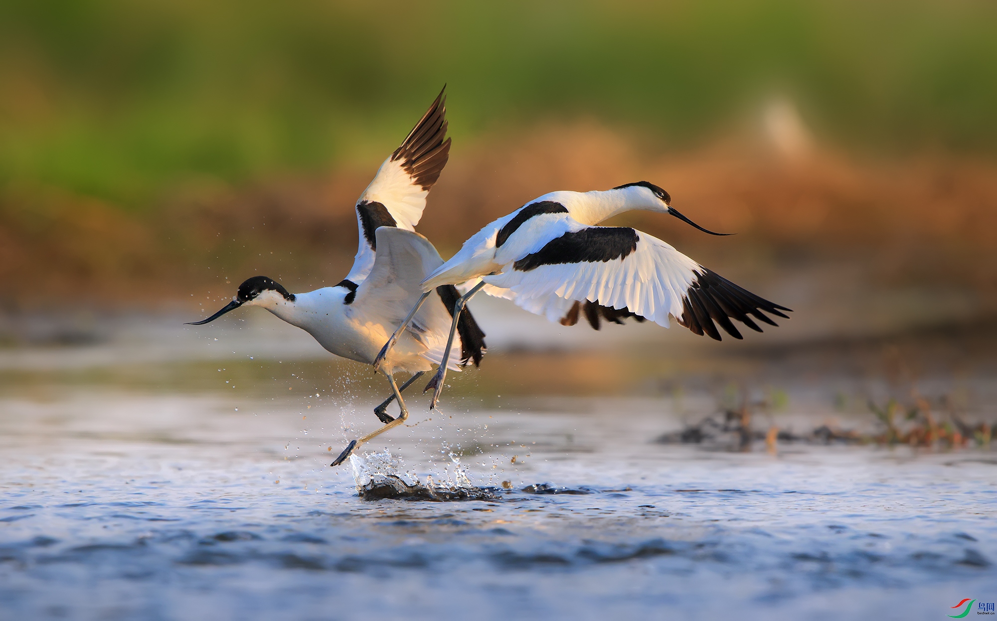 R5M22089 -����.jpg