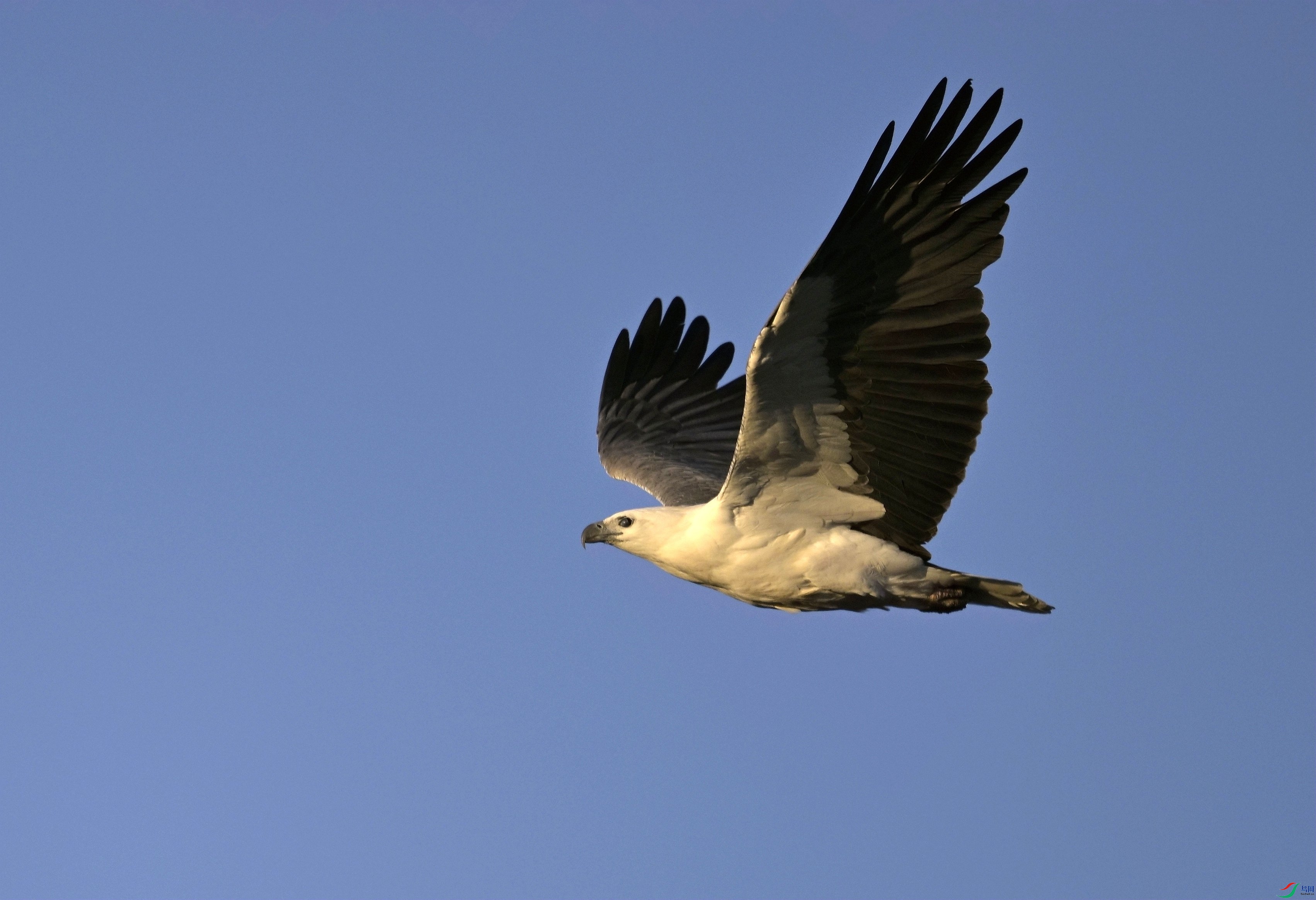 _DSC8578_.jpg