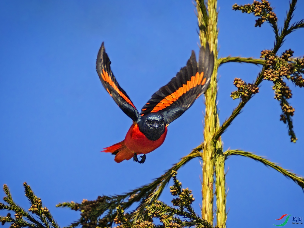 _B3A2509���ɽ����-ӭ����� ����.jpg