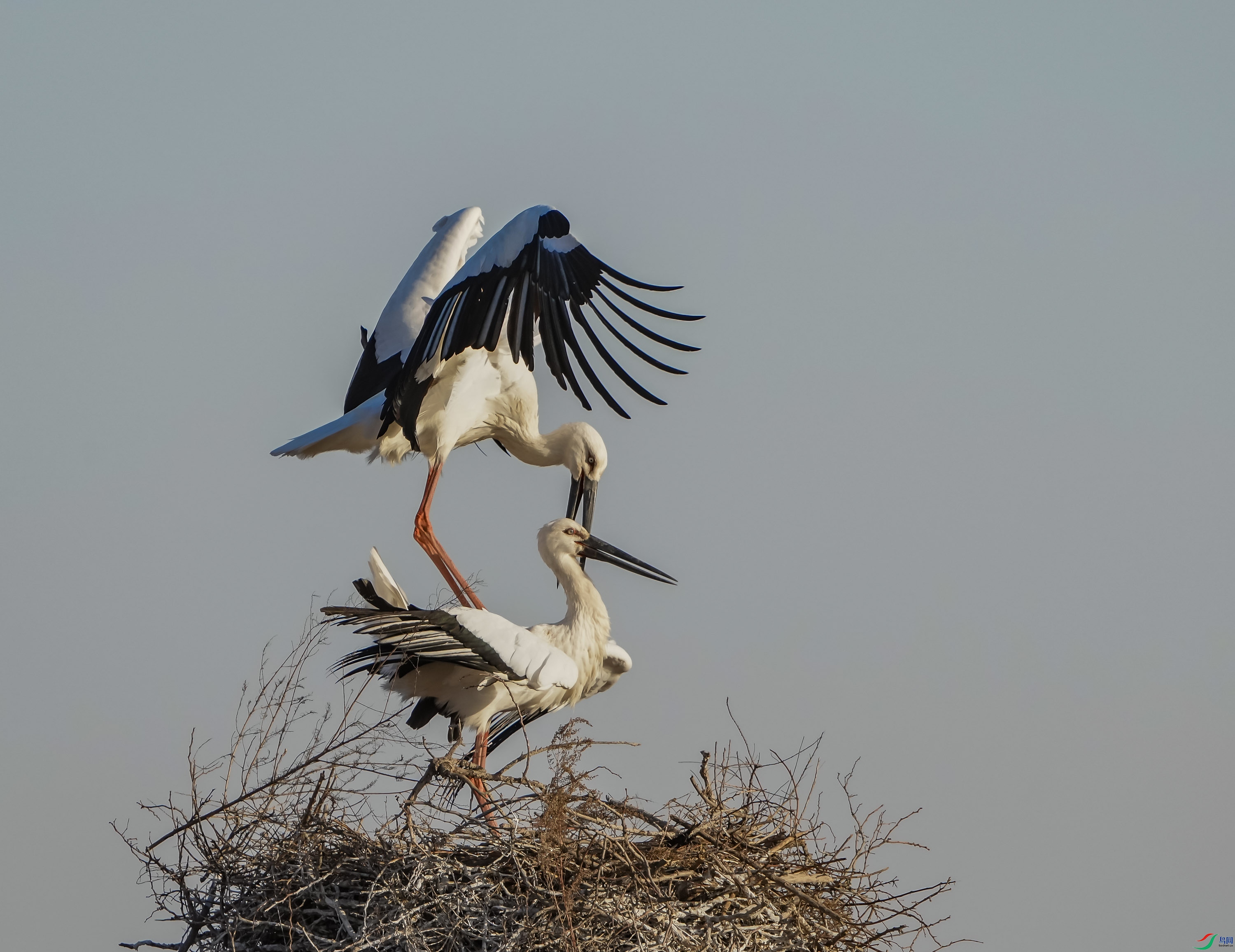 ��������-6 (2).jpg