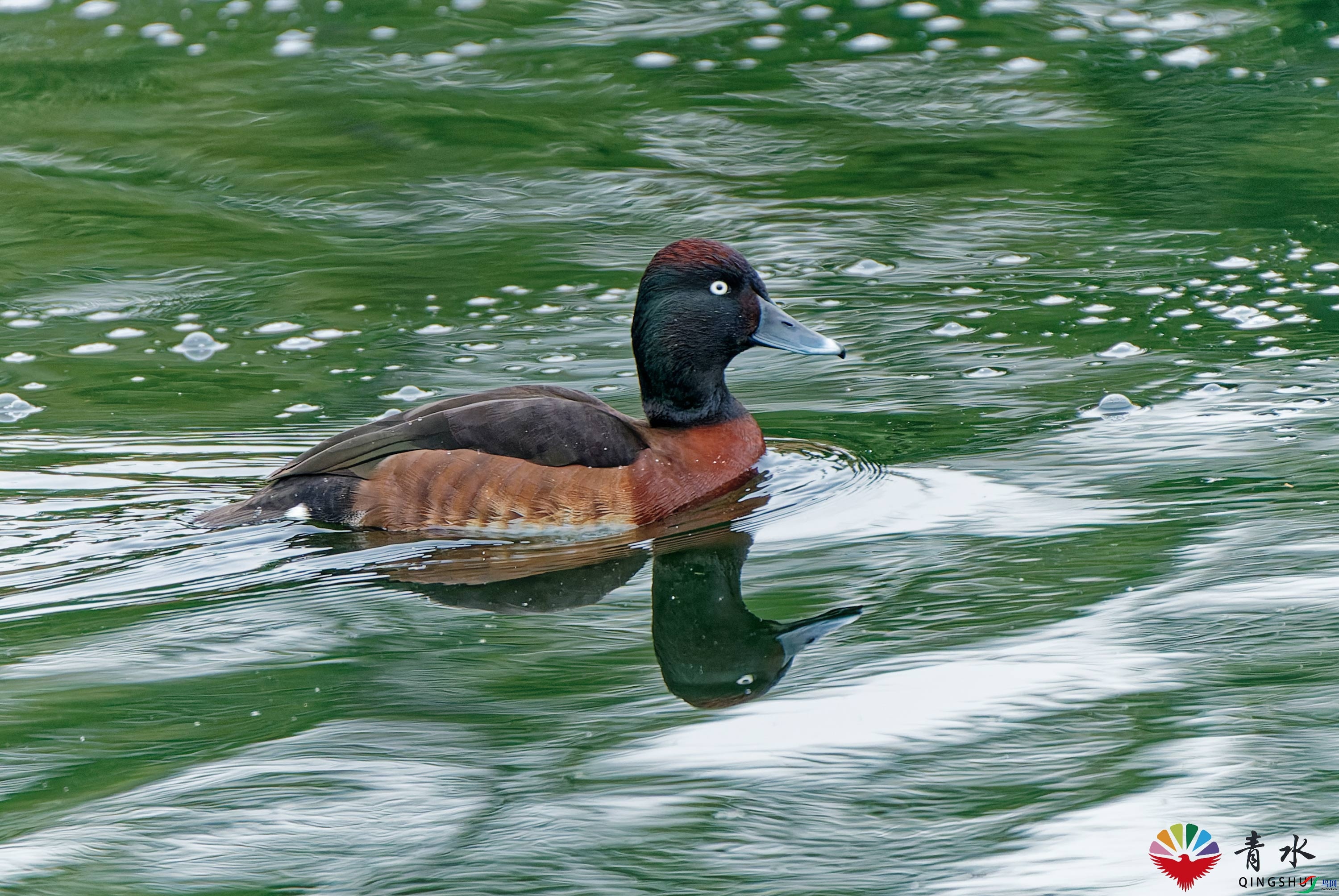 DSC02312_DxO.jpg