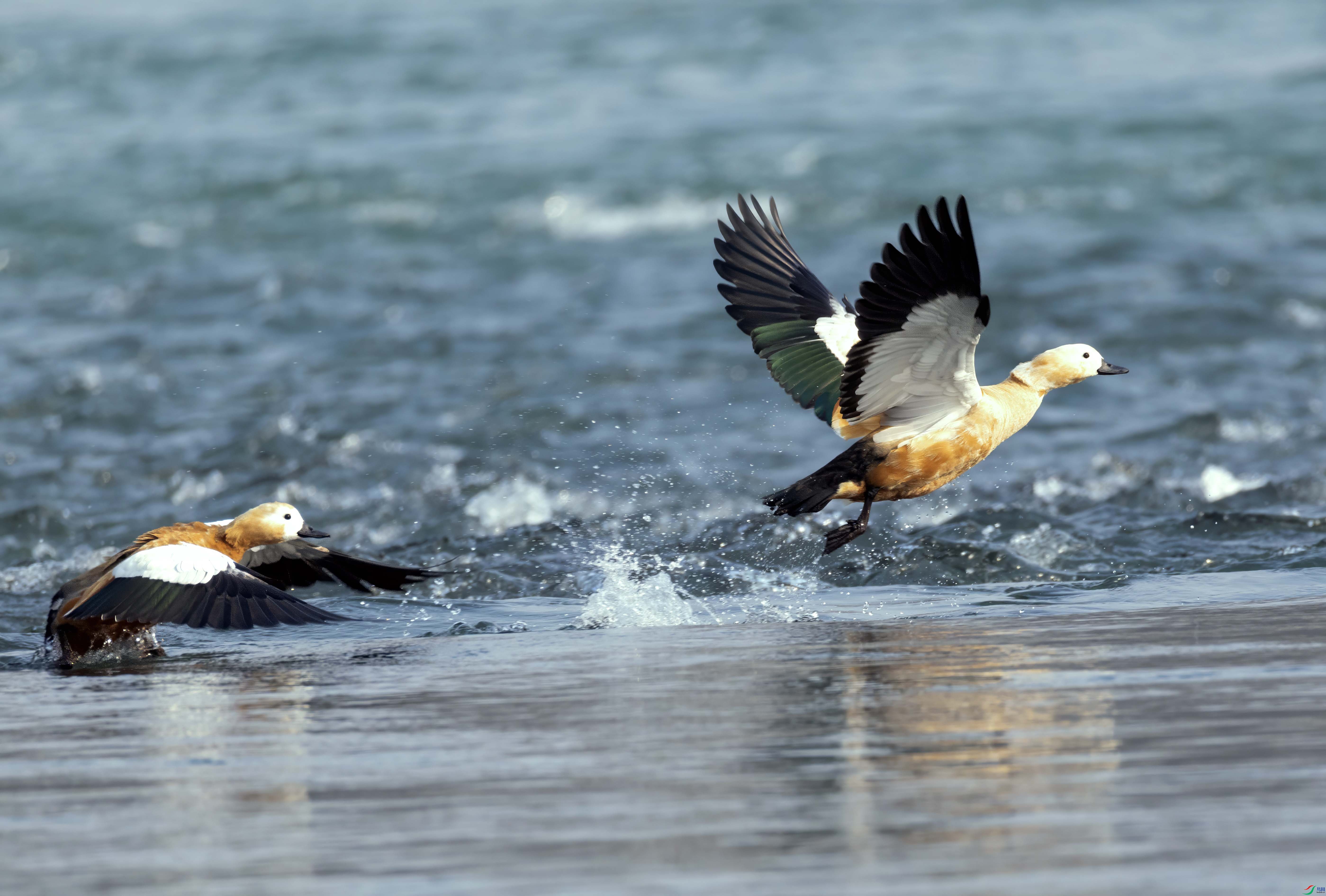 5N9A8674 ���� 2.jpg