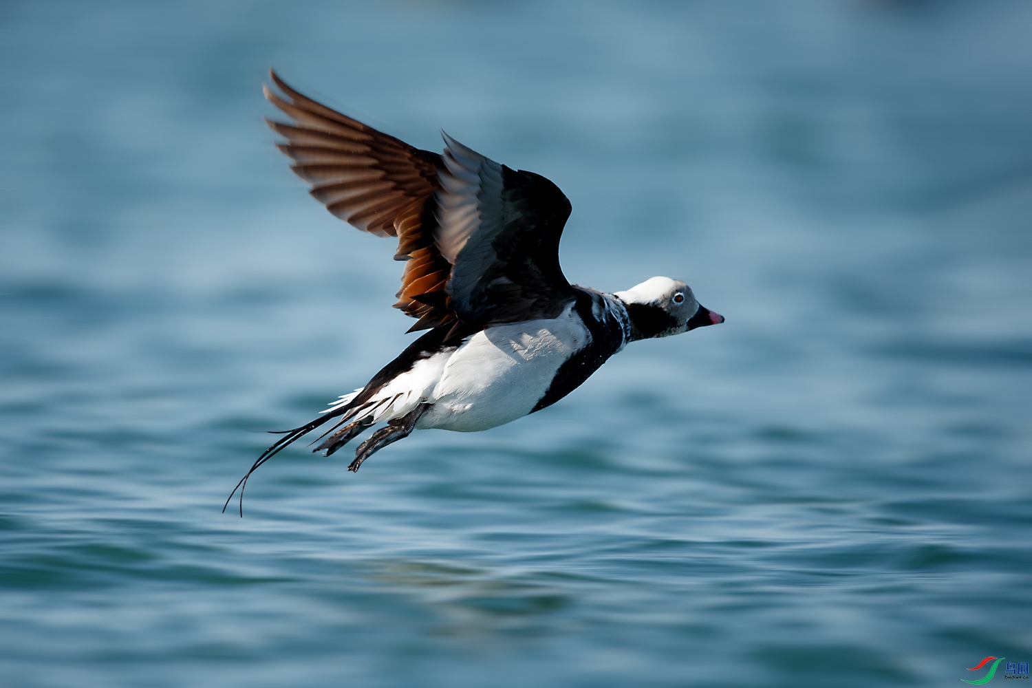 AQ9I3672 ����.jpg