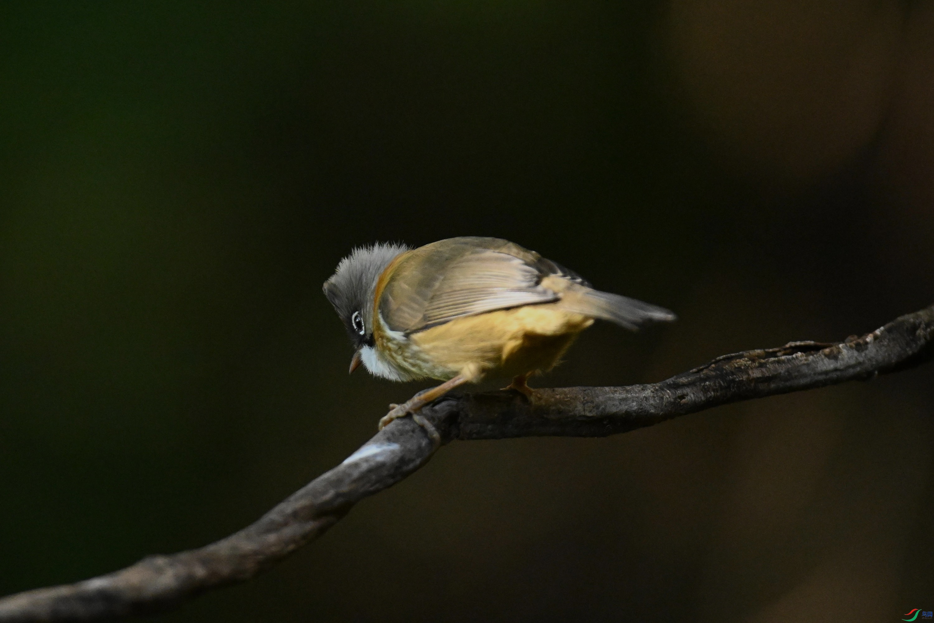 ���� (2).jpg