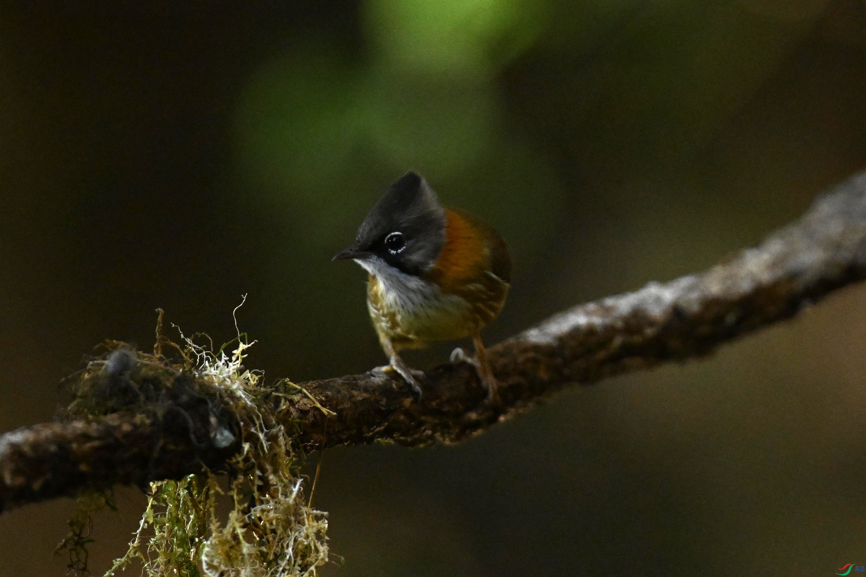 ���� (5).jpg