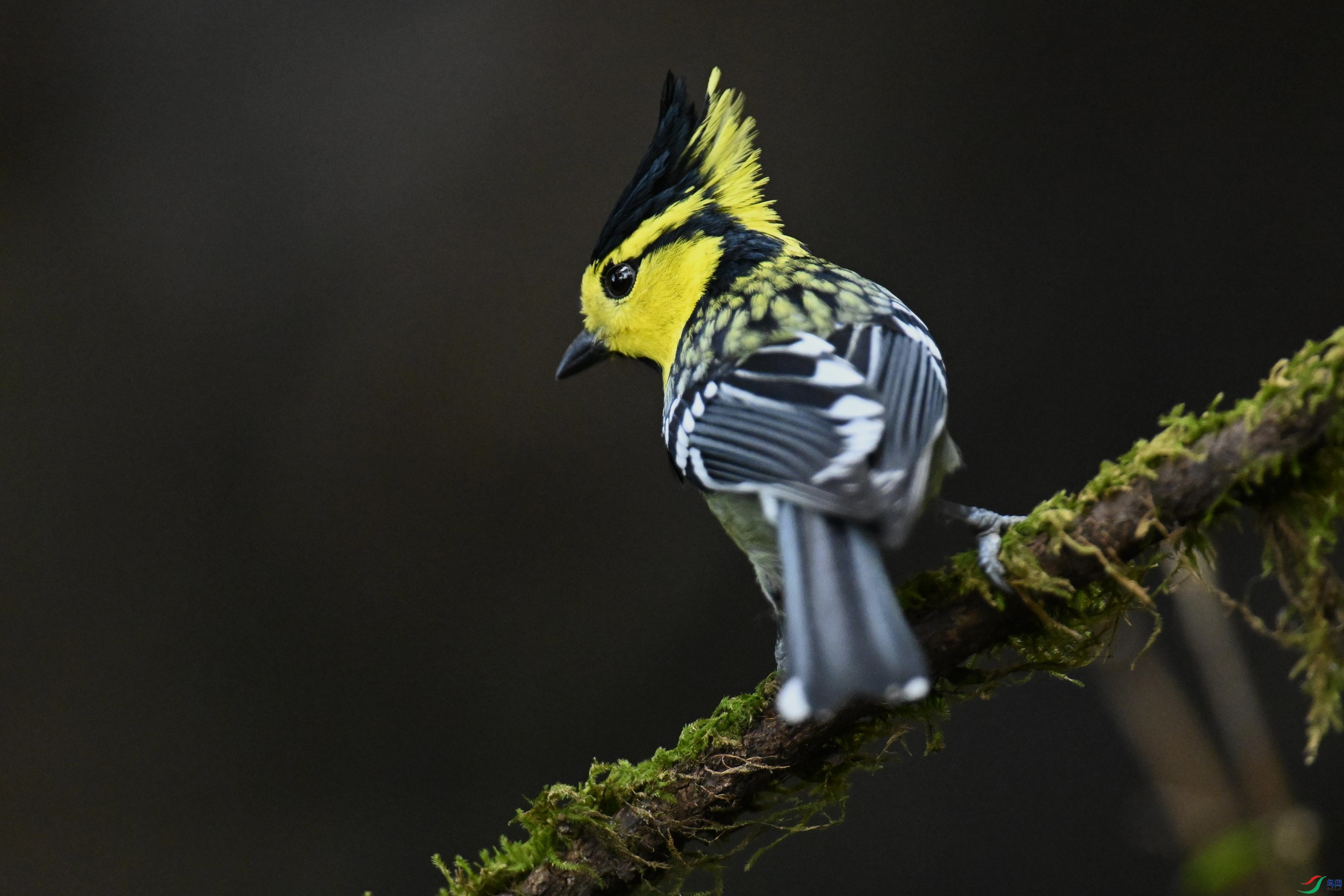 ���� (20).jpg