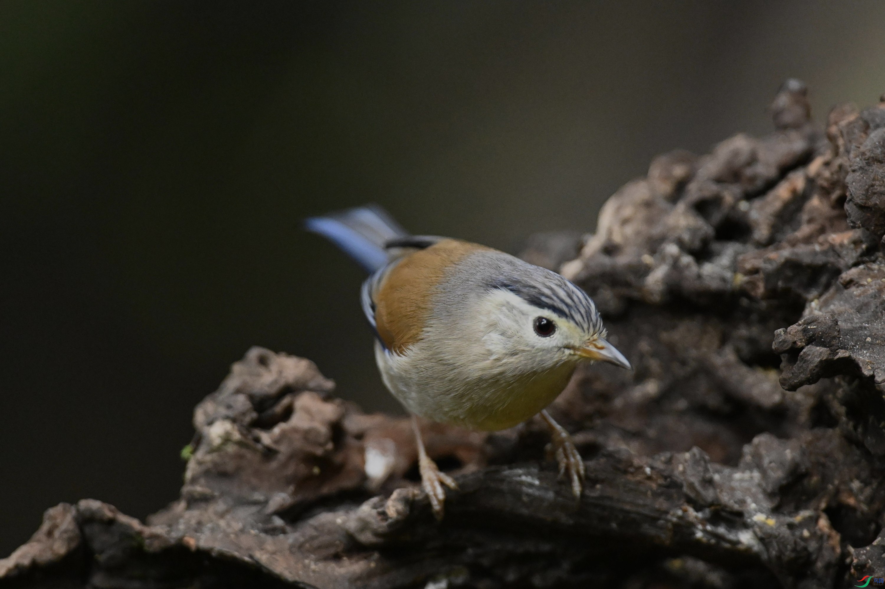 ���� (22).jpg