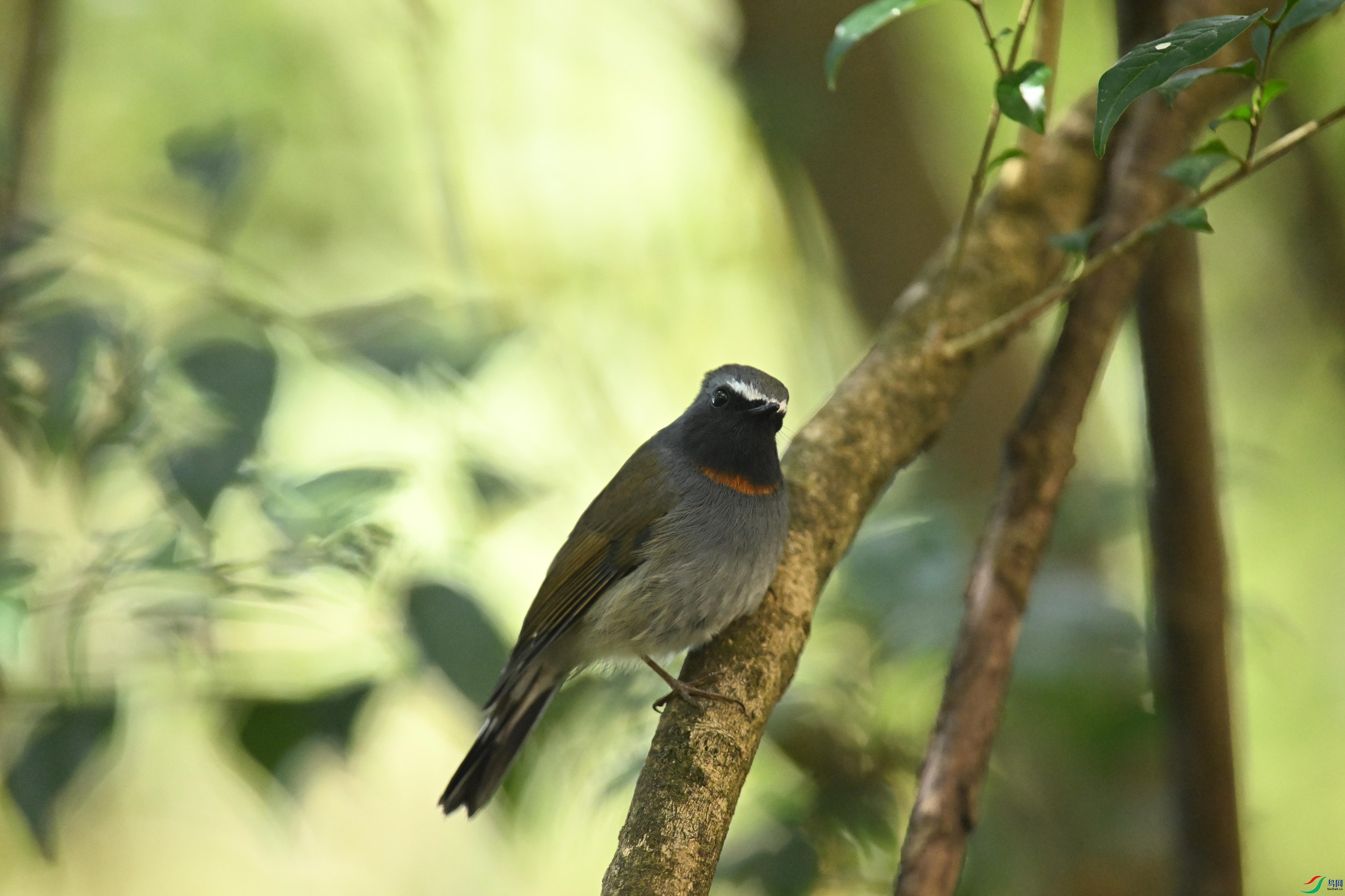 ���� (23).jpg