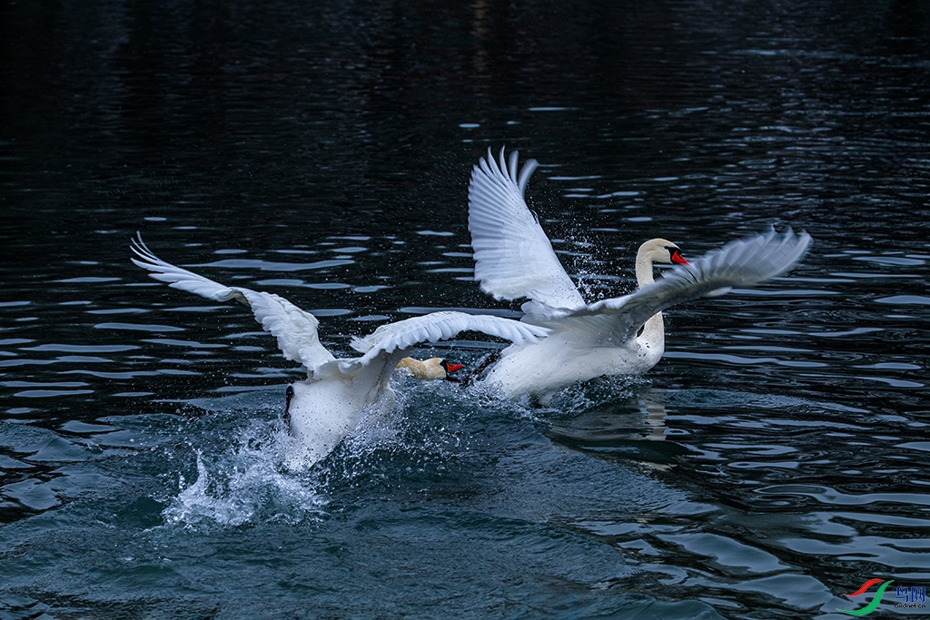 xjynR3241220 (3031).jpg