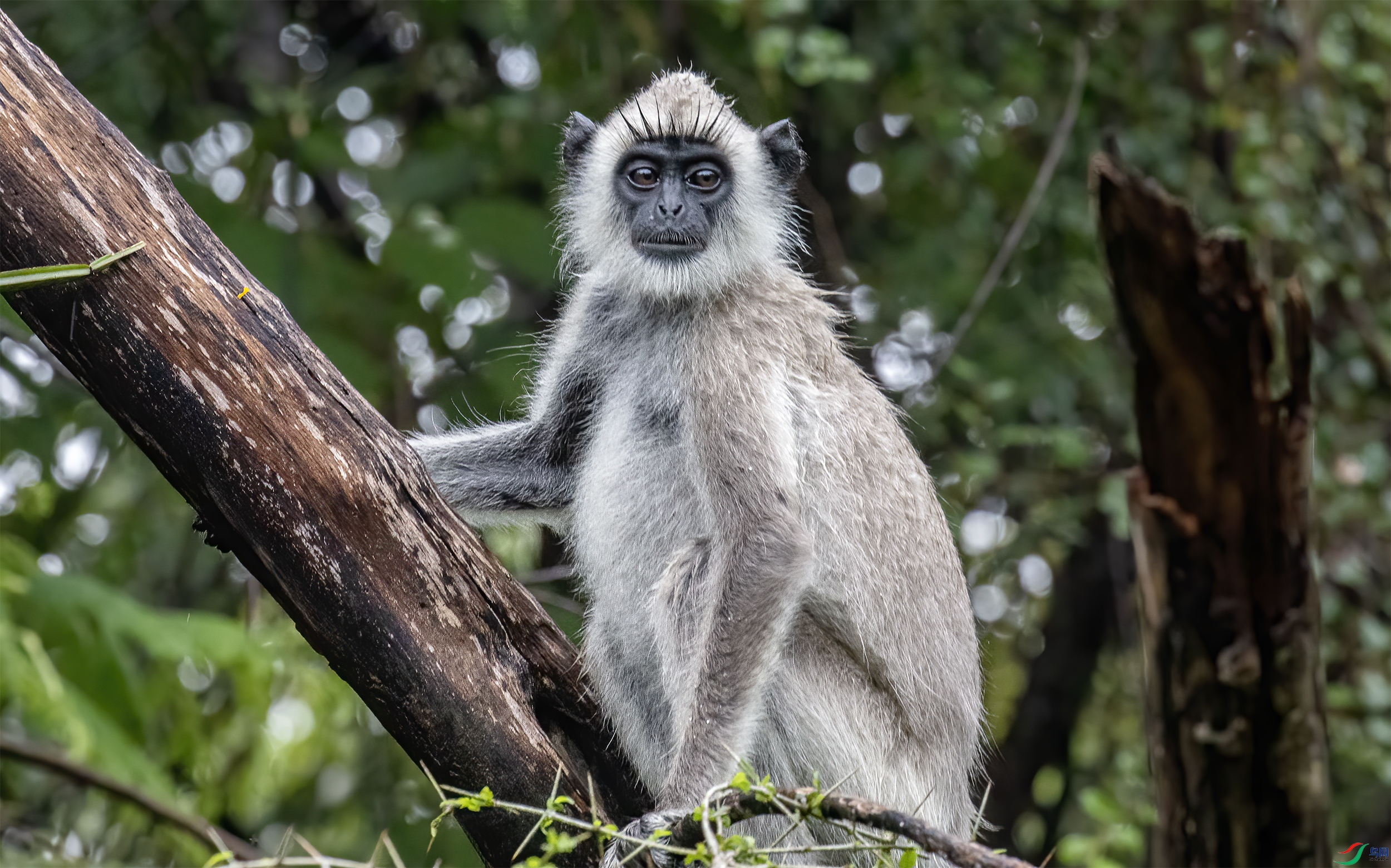 CB0A0625 ����.jpg