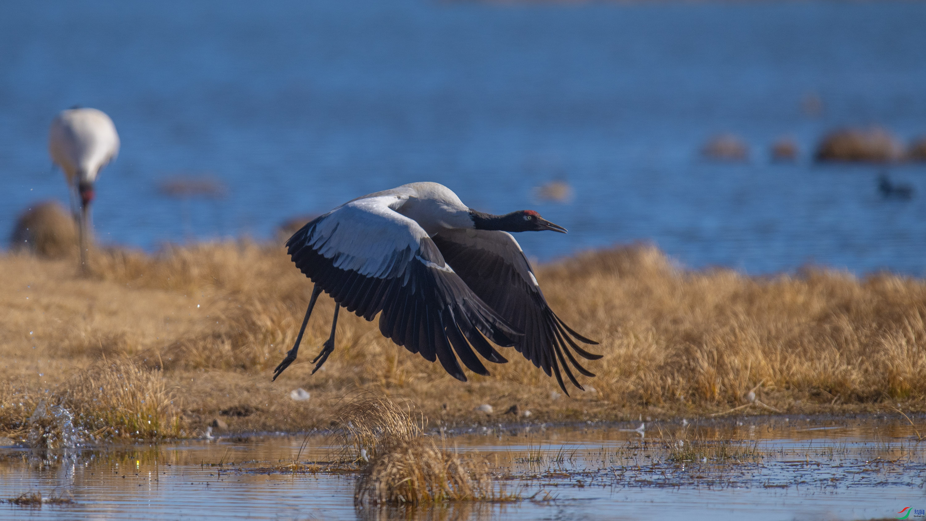 �ھ��� (2).jpg