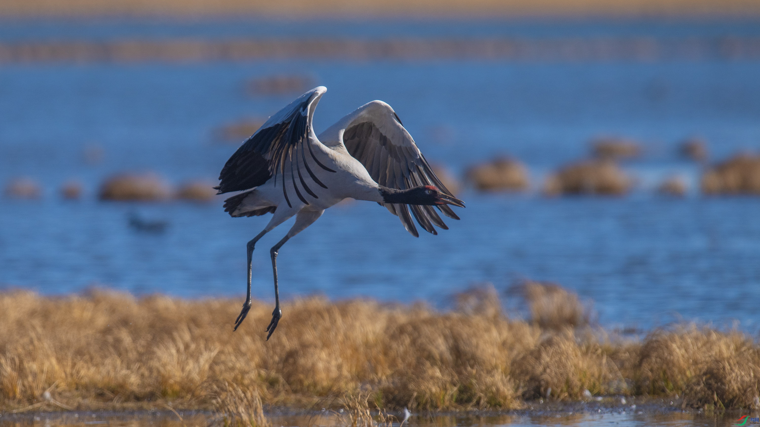 �ھ��� (9).jpg