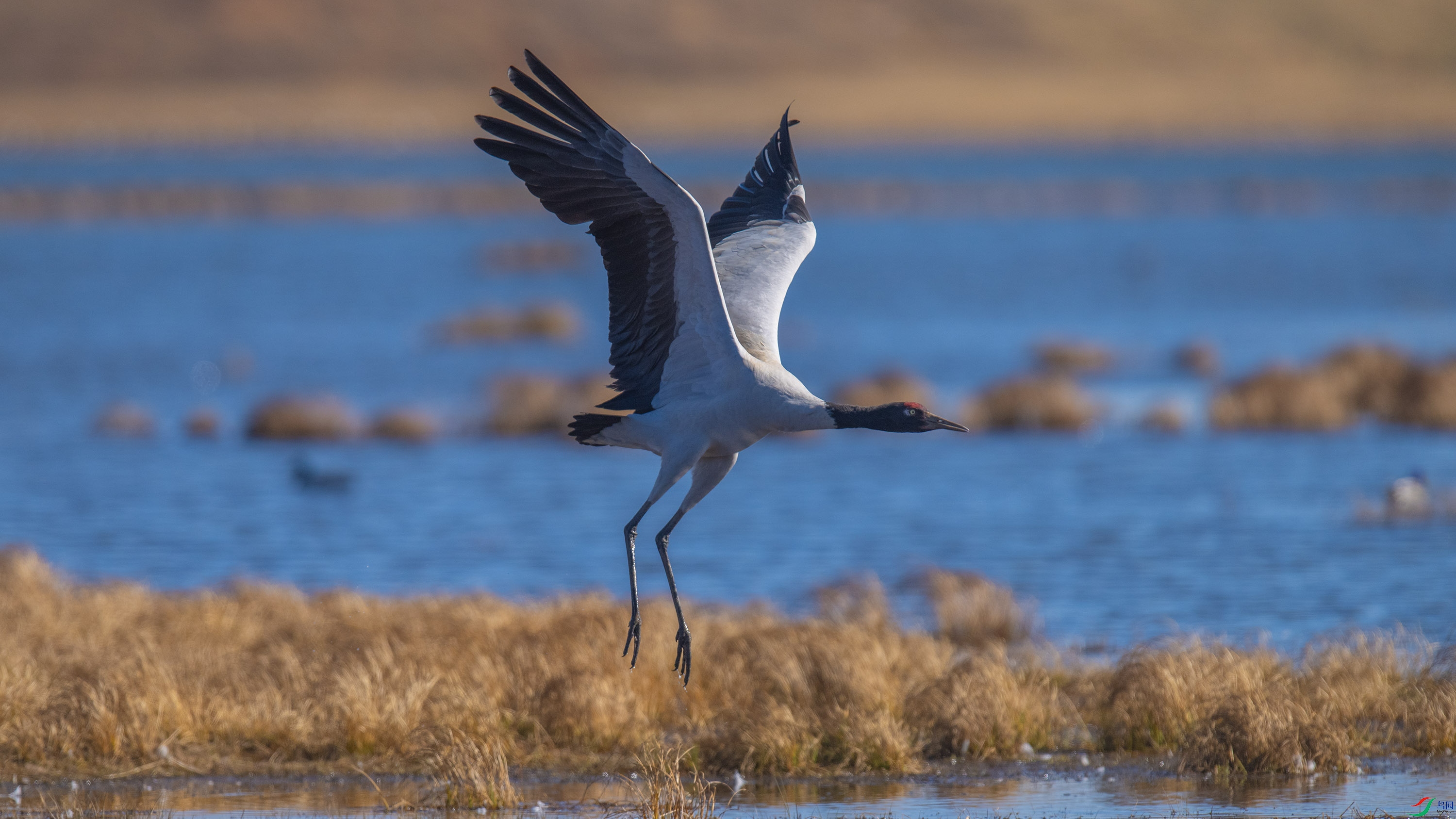 �ھ��� (10).jpg