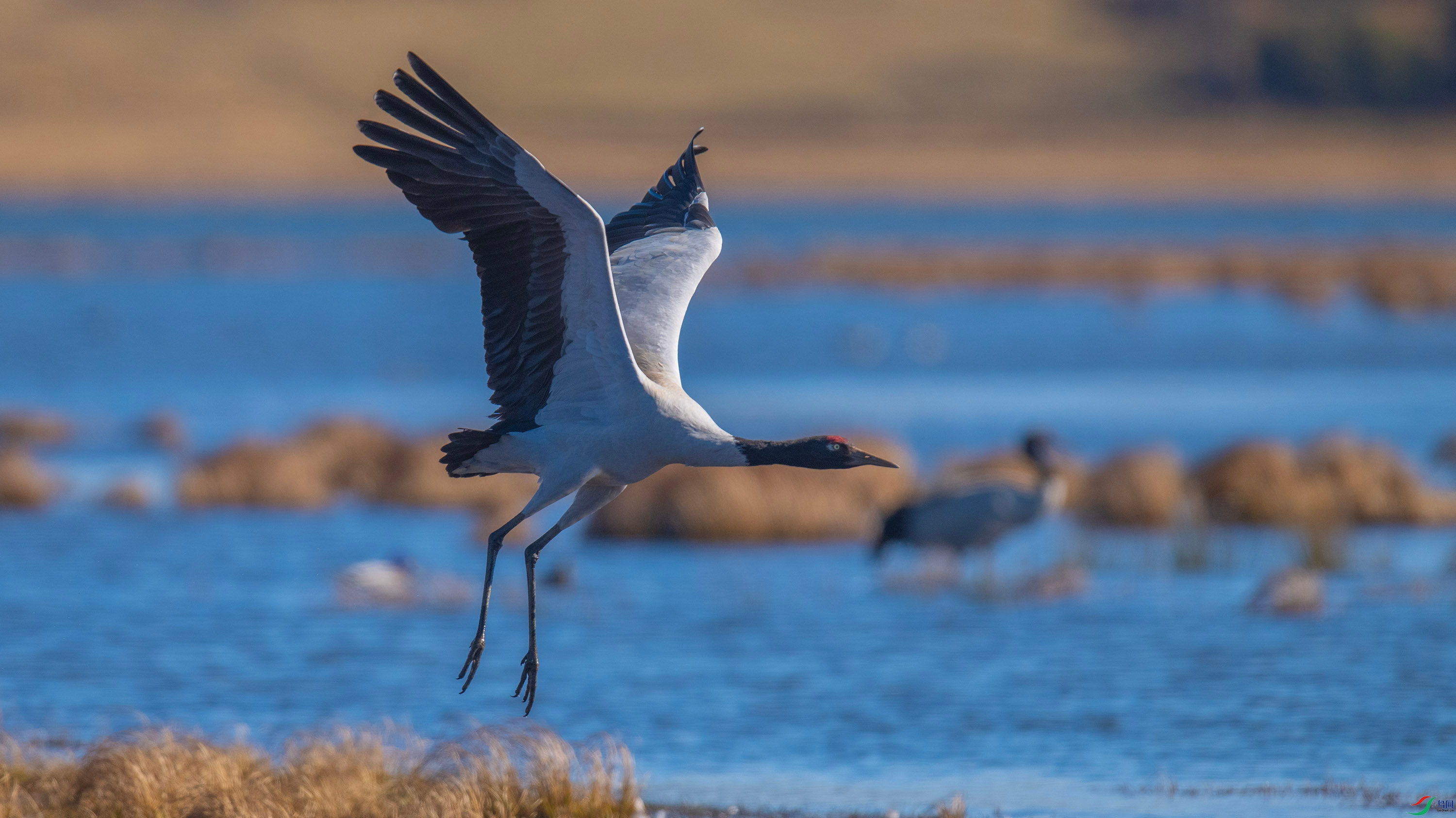 �ھ��� (14).jpg