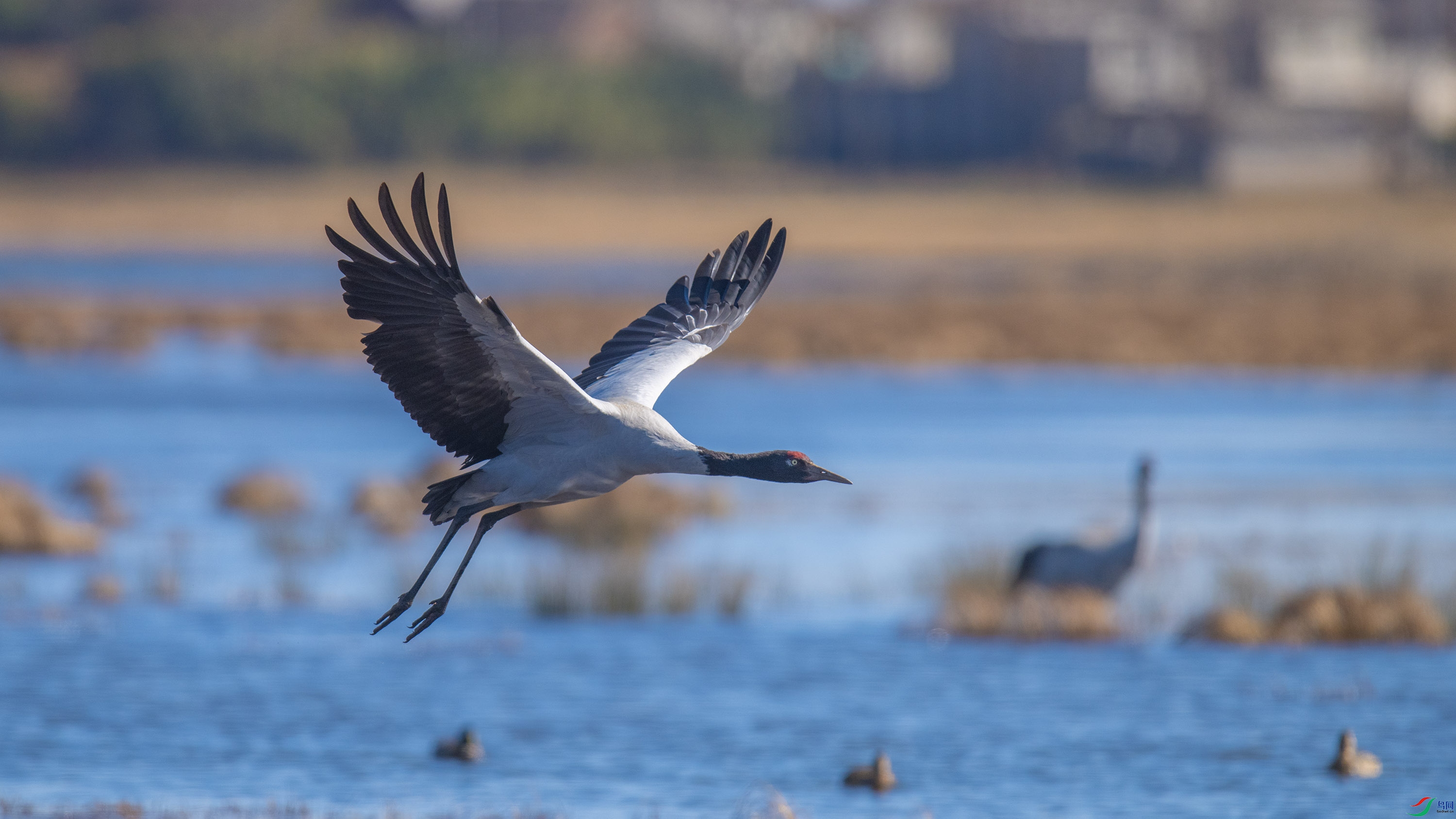 �ھ��� (19).jpg