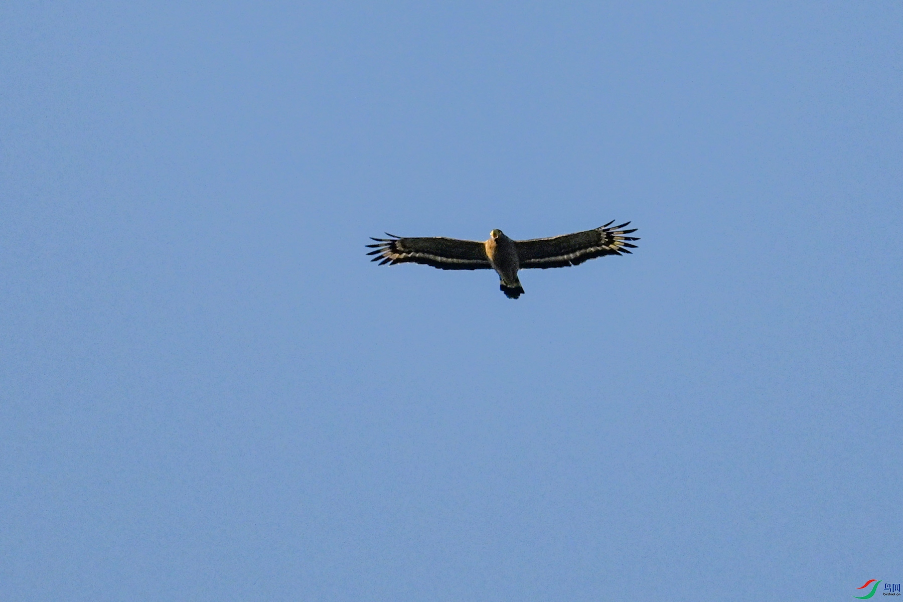 DSC_6233.JPG